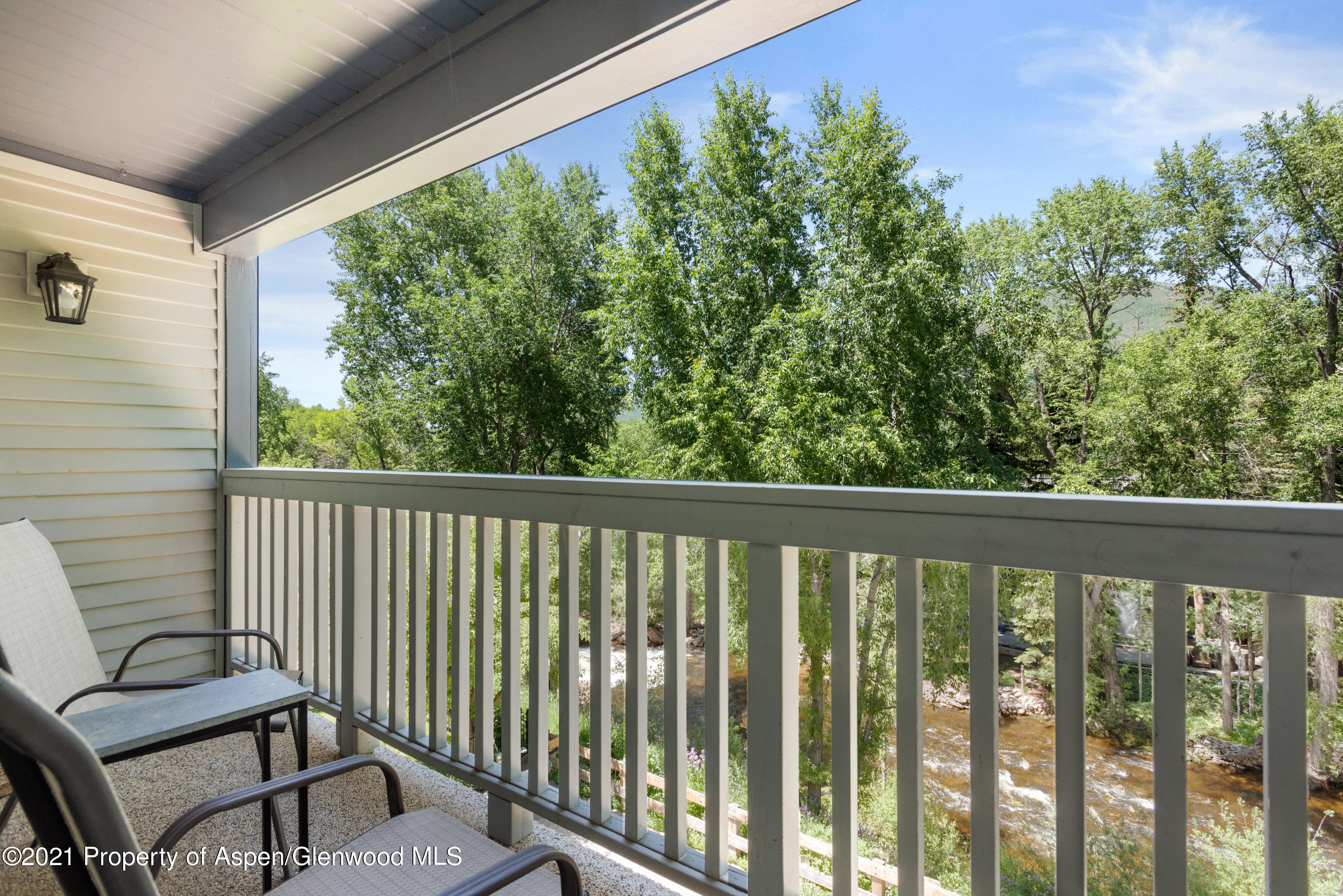 916 E Hopkins Avenue Aspen CO 81611