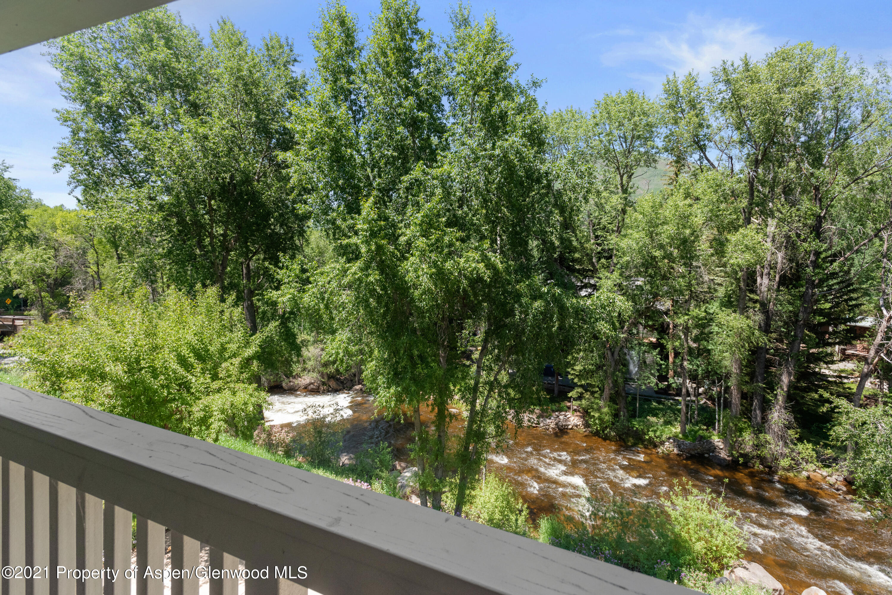 916 E Hopkins Avenue Aspen CO 81611