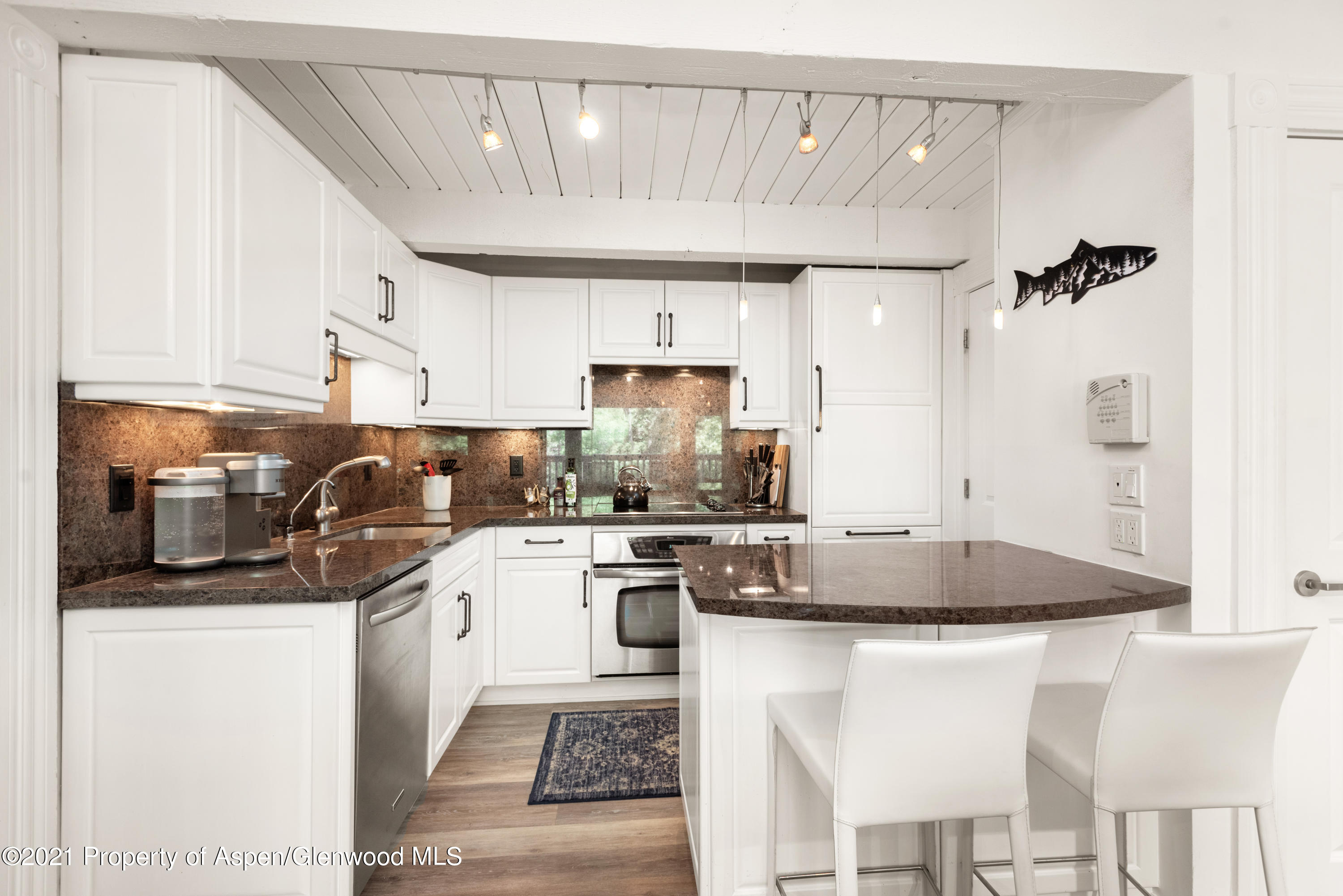 916 E Hopkins Avenue Aspen CO 81611