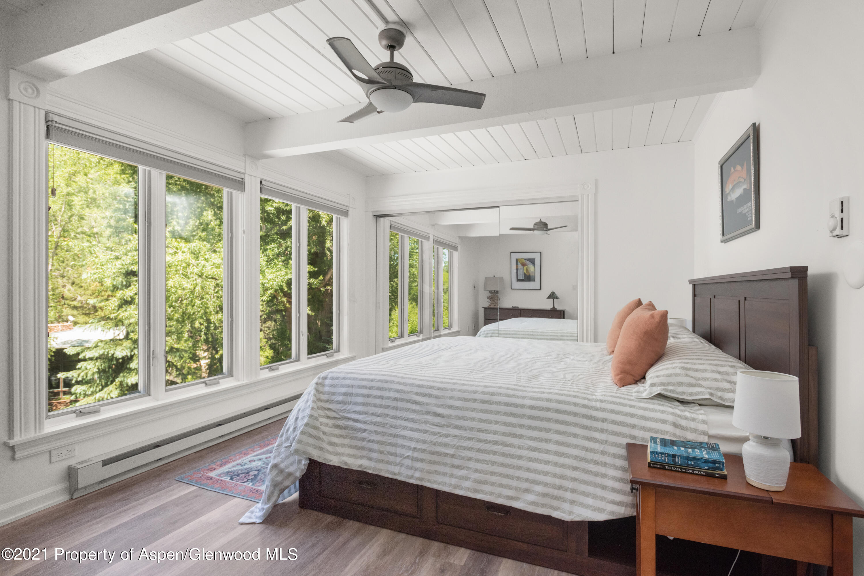 916 E Hopkins Avenue Aspen CO 81611