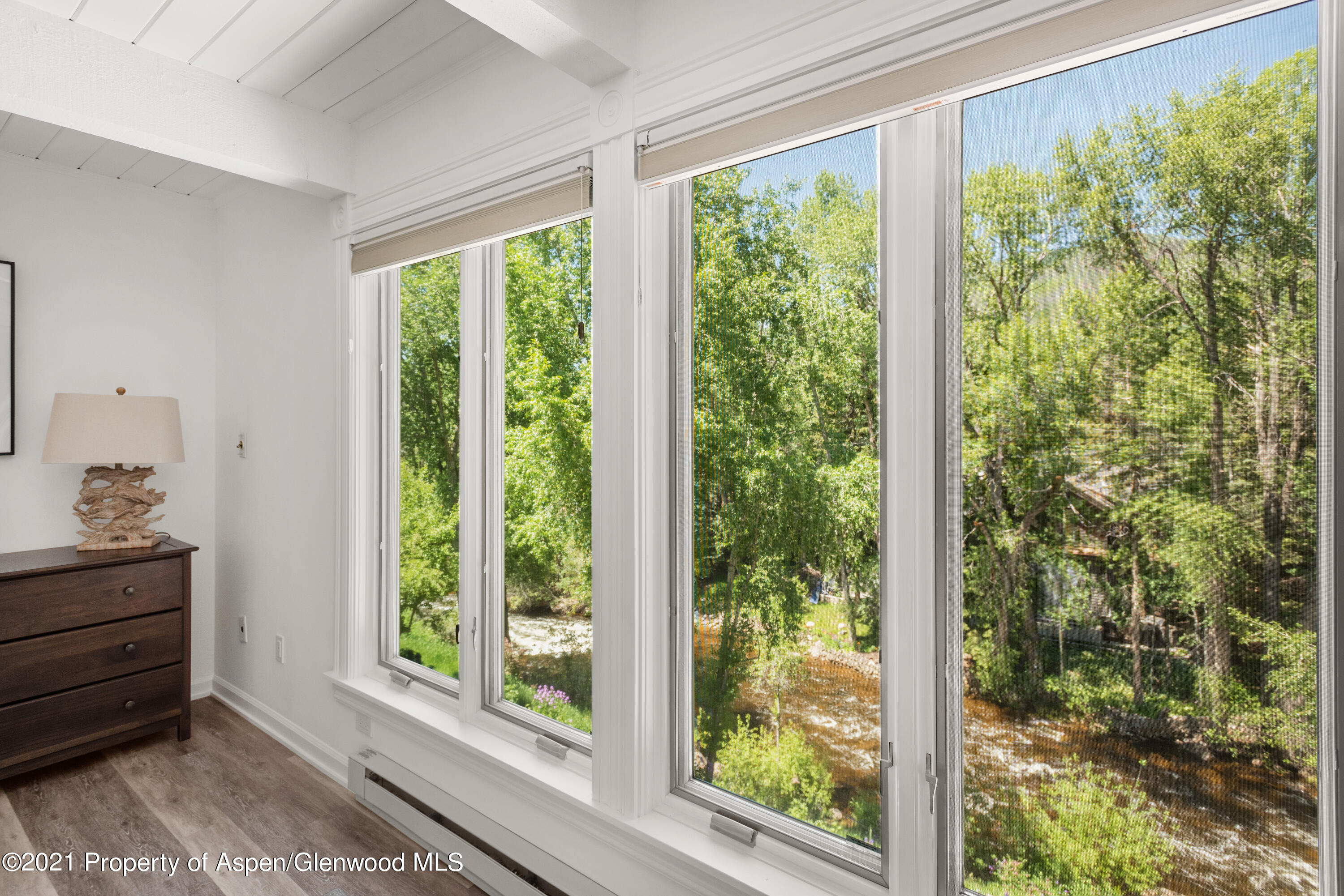 916 E Hopkins Avenue Aspen CO 81611