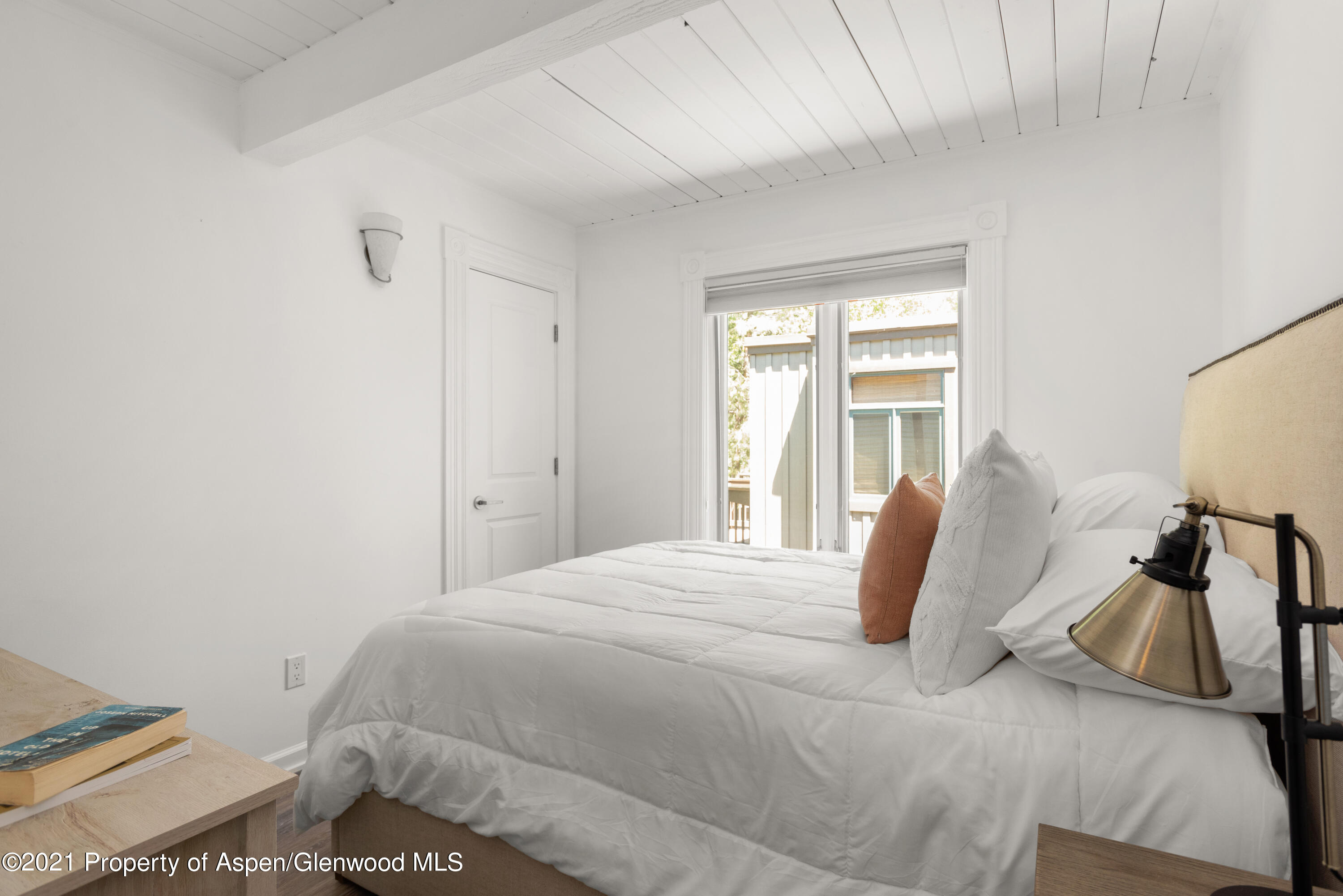 916 E Hopkins Avenue Aspen CO 81611