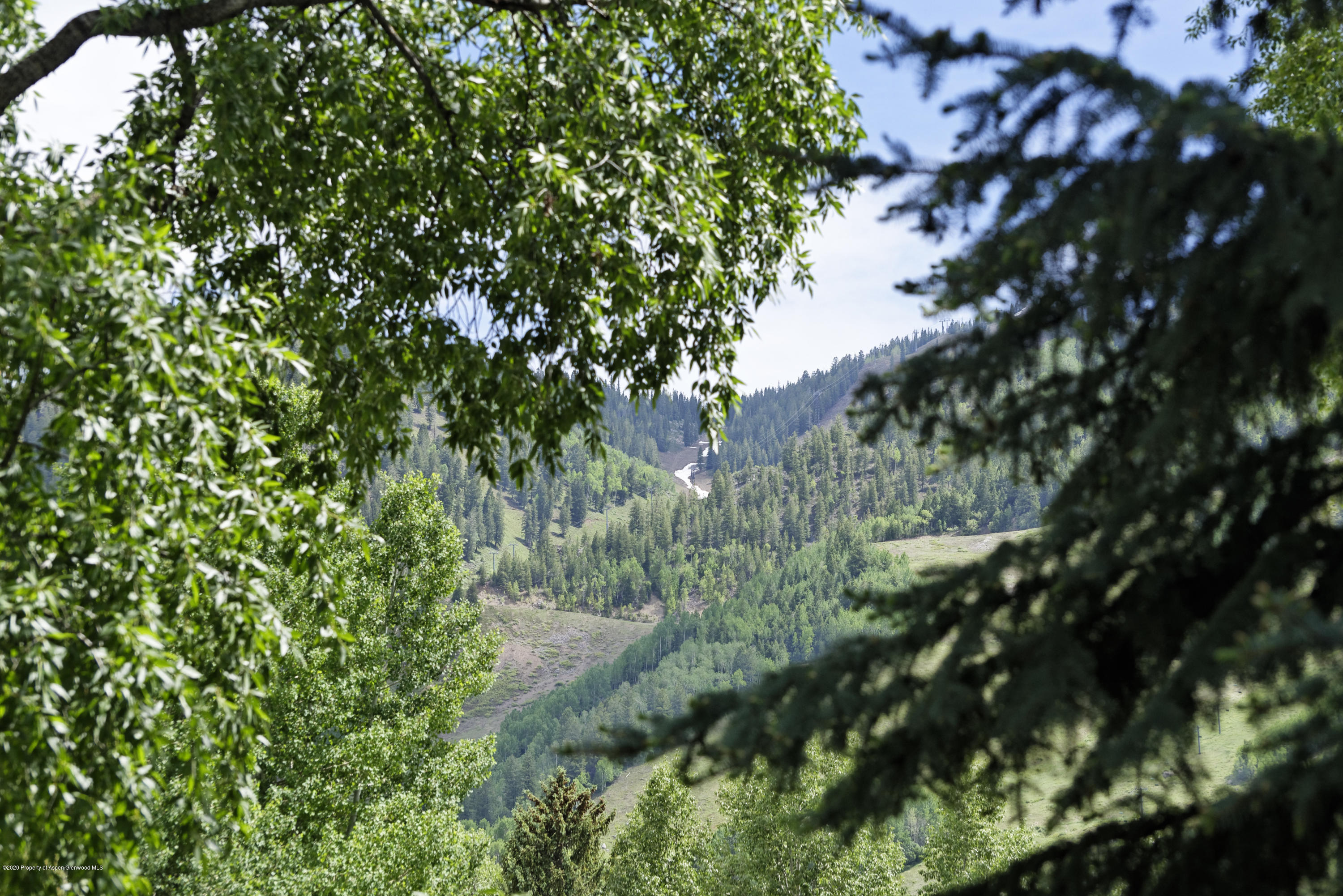 207 N Second Street Aspen CO 81611