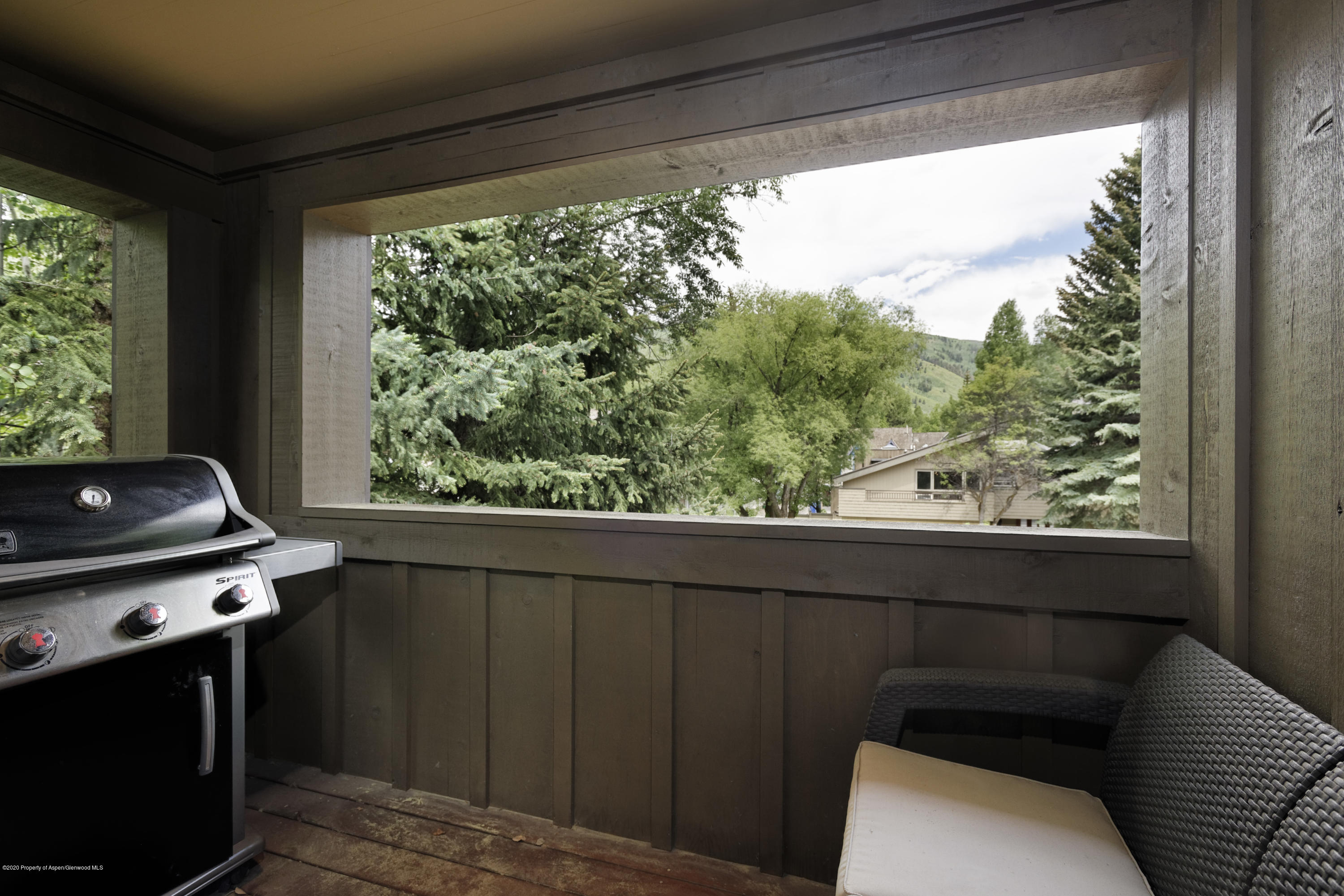 207 N Second Street Aspen CO 81611