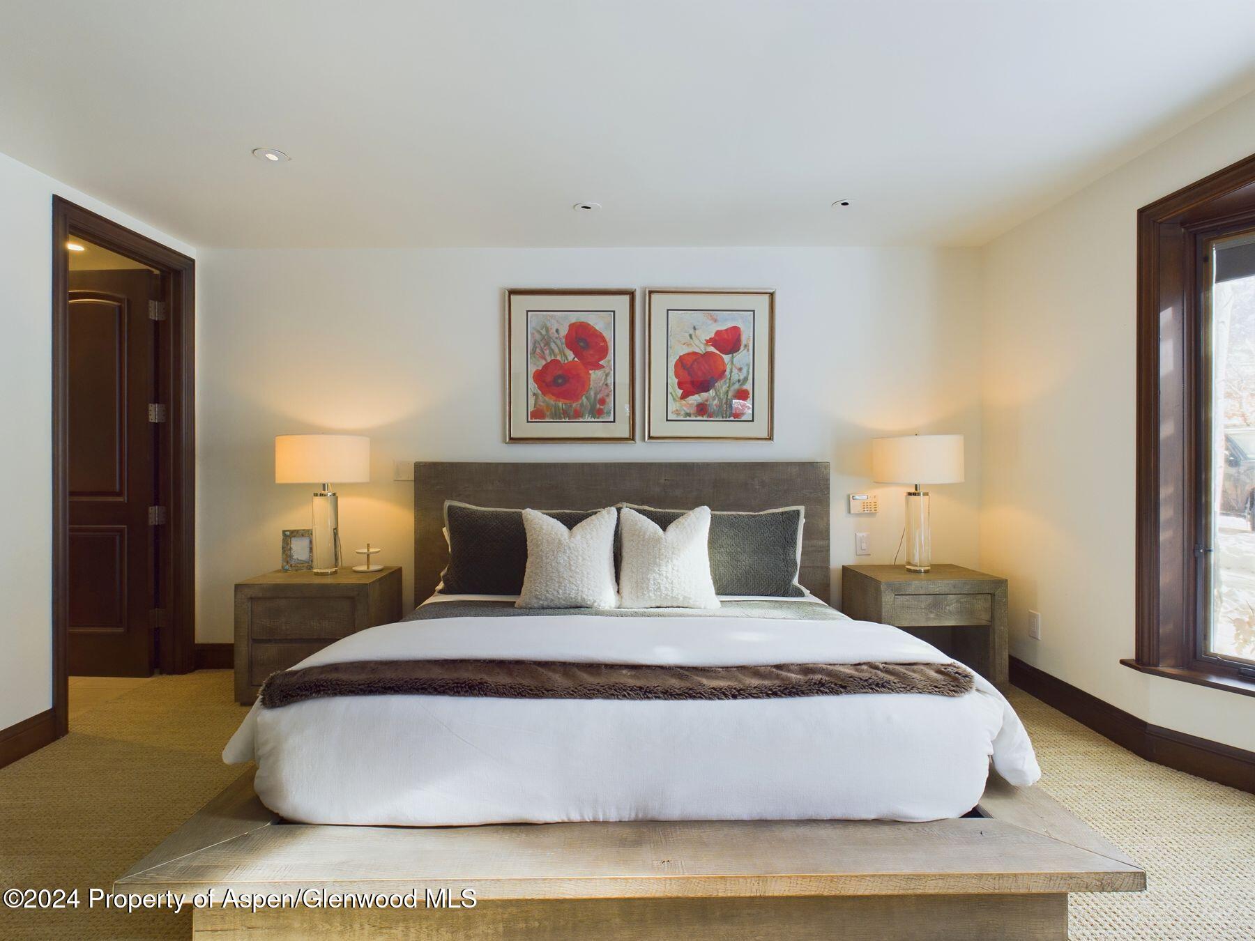 910 E Cooper Avenue Aspen CO 81611