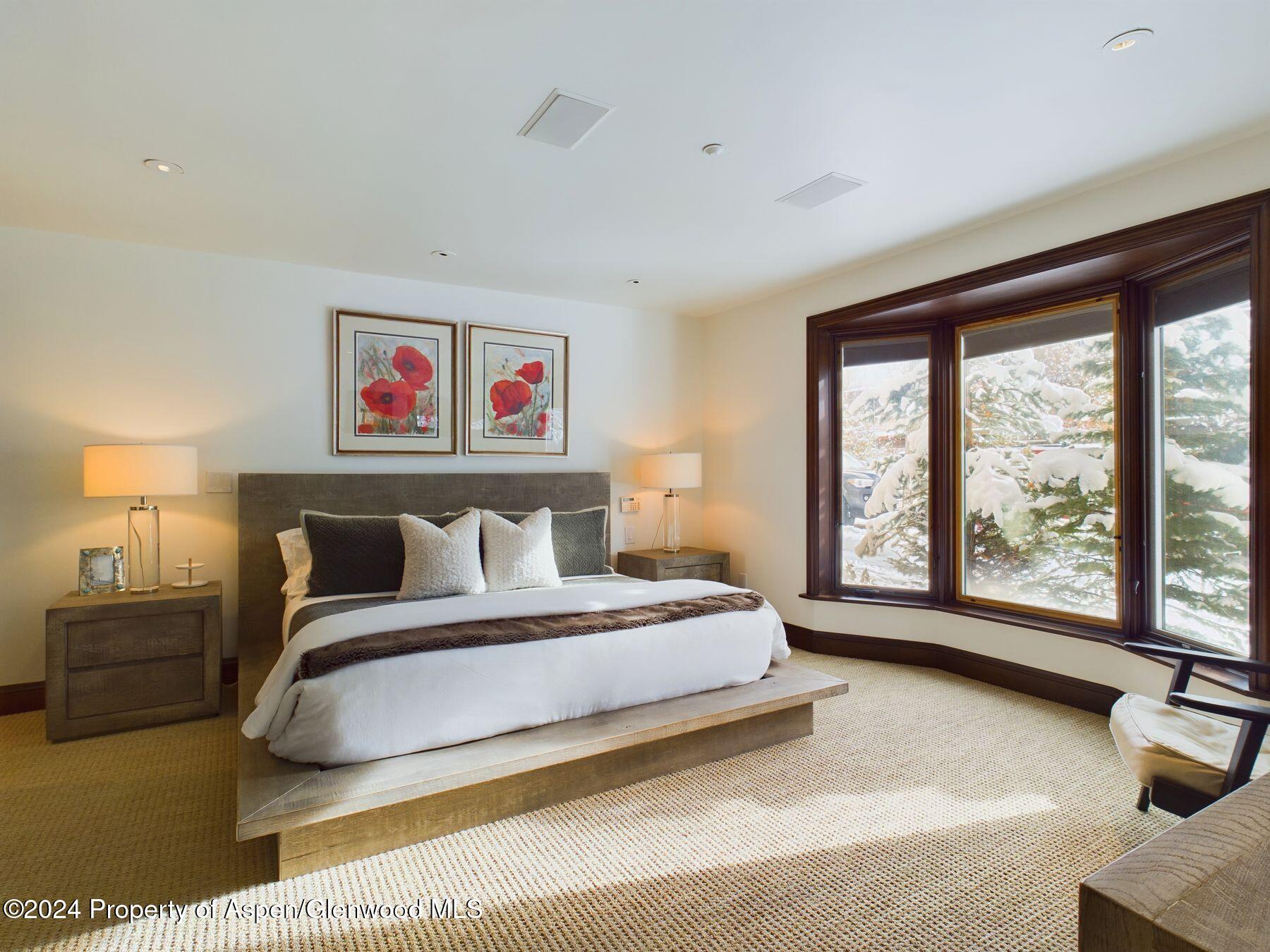 910 E Cooper Avenue Aspen CO 81611