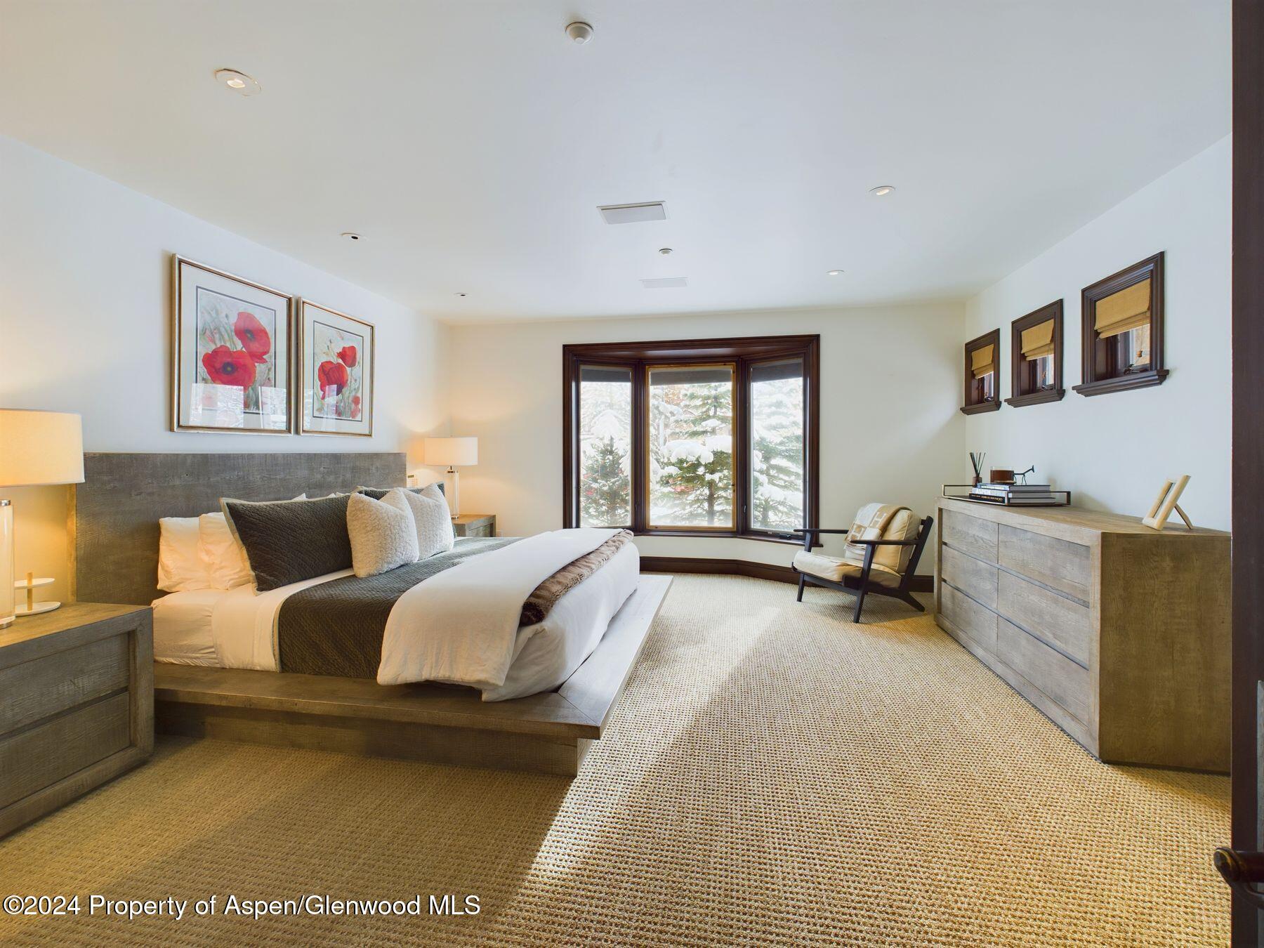 910 E Cooper Avenue Aspen CO 81611