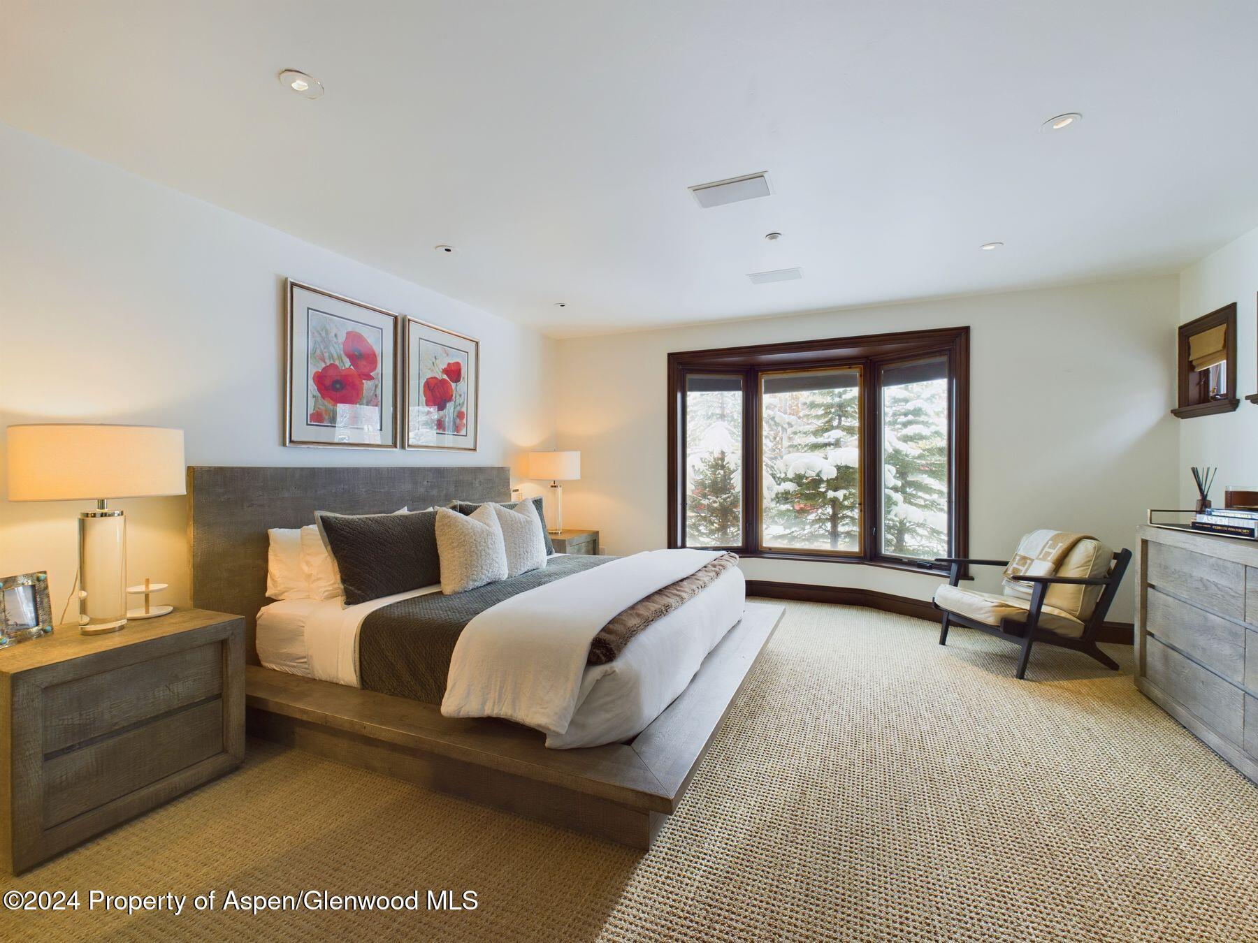 910 E Cooper Avenue Aspen CO 81611