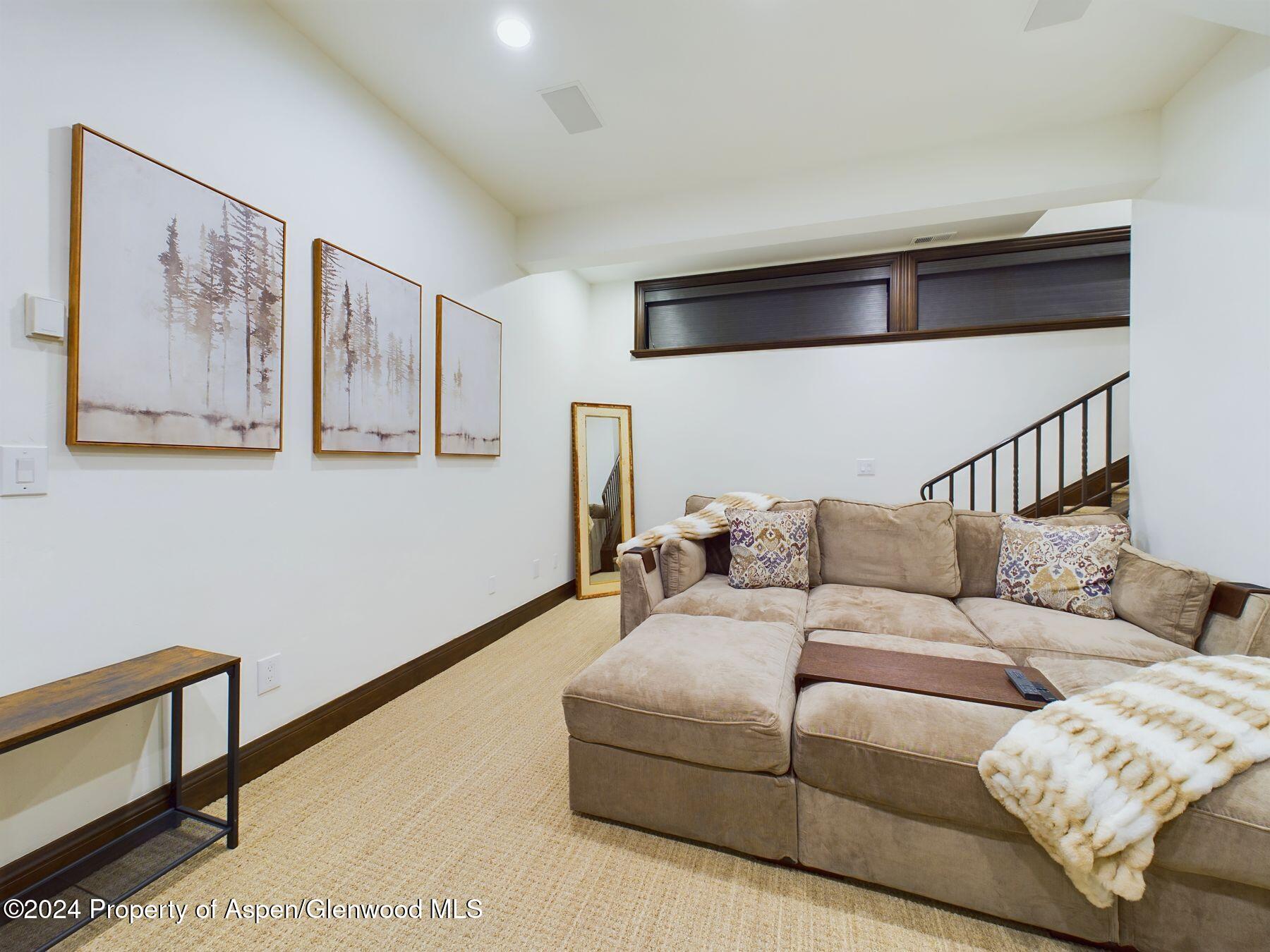 910 E Cooper Avenue Aspen CO 81611