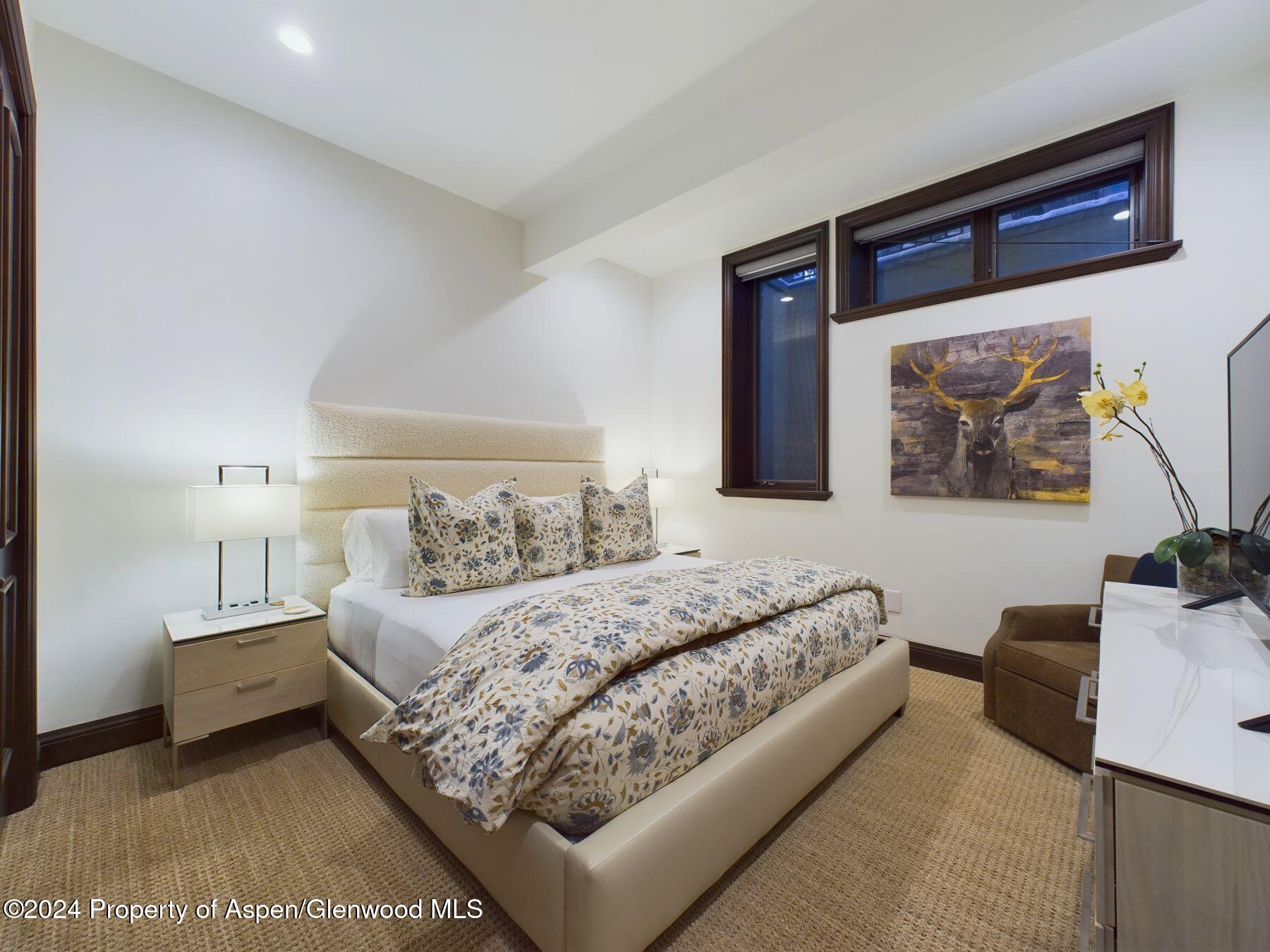 910 E Cooper Avenue Aspen CO 81611