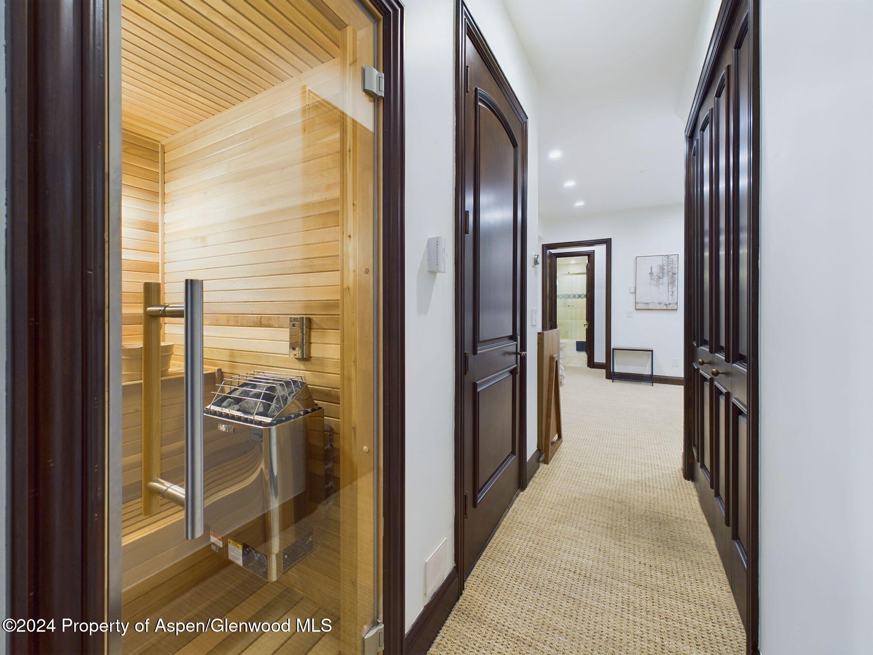 910 E Cooper Avenue Aspen CO 81611