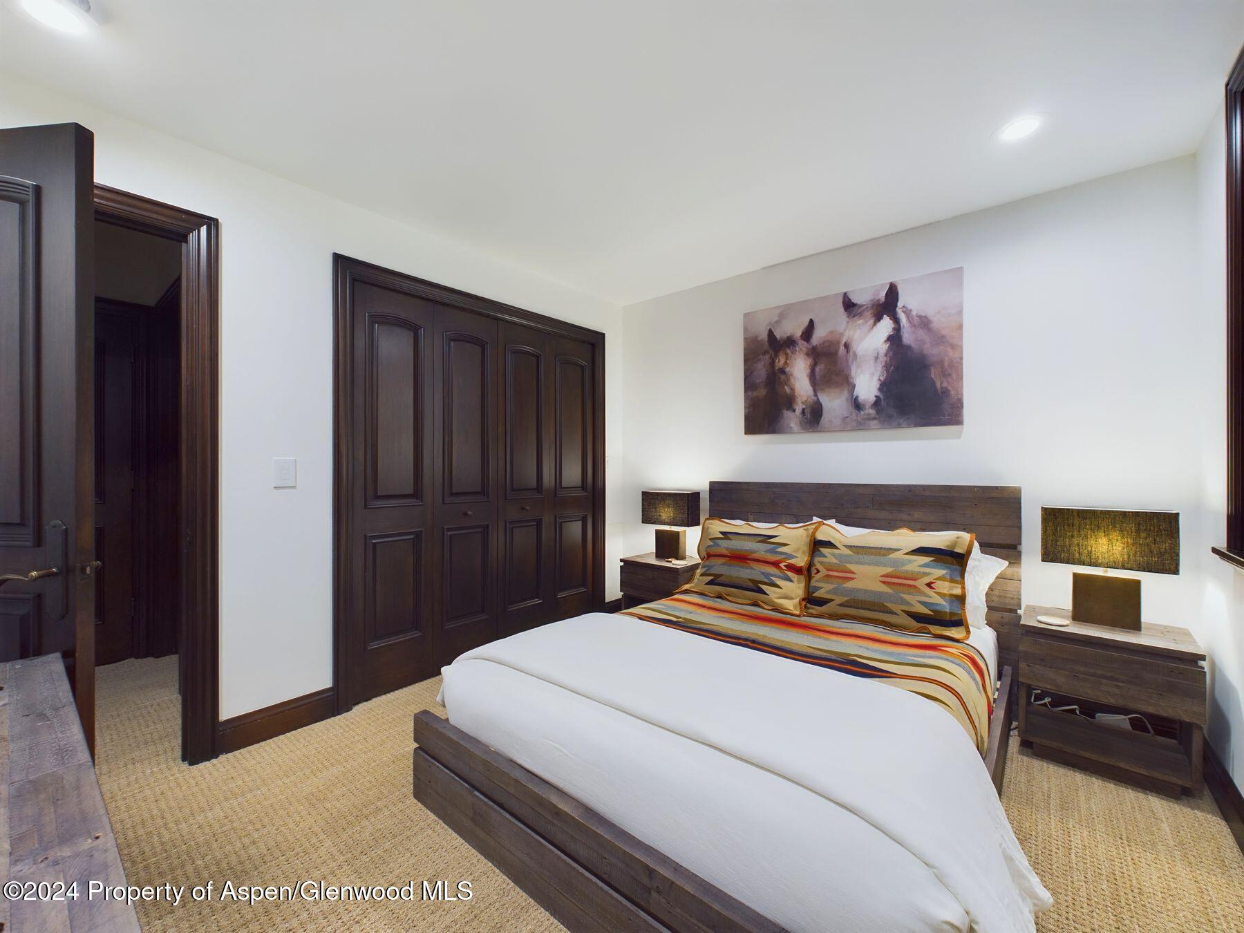 910 E Cooper Avenue Aspen CO 81611