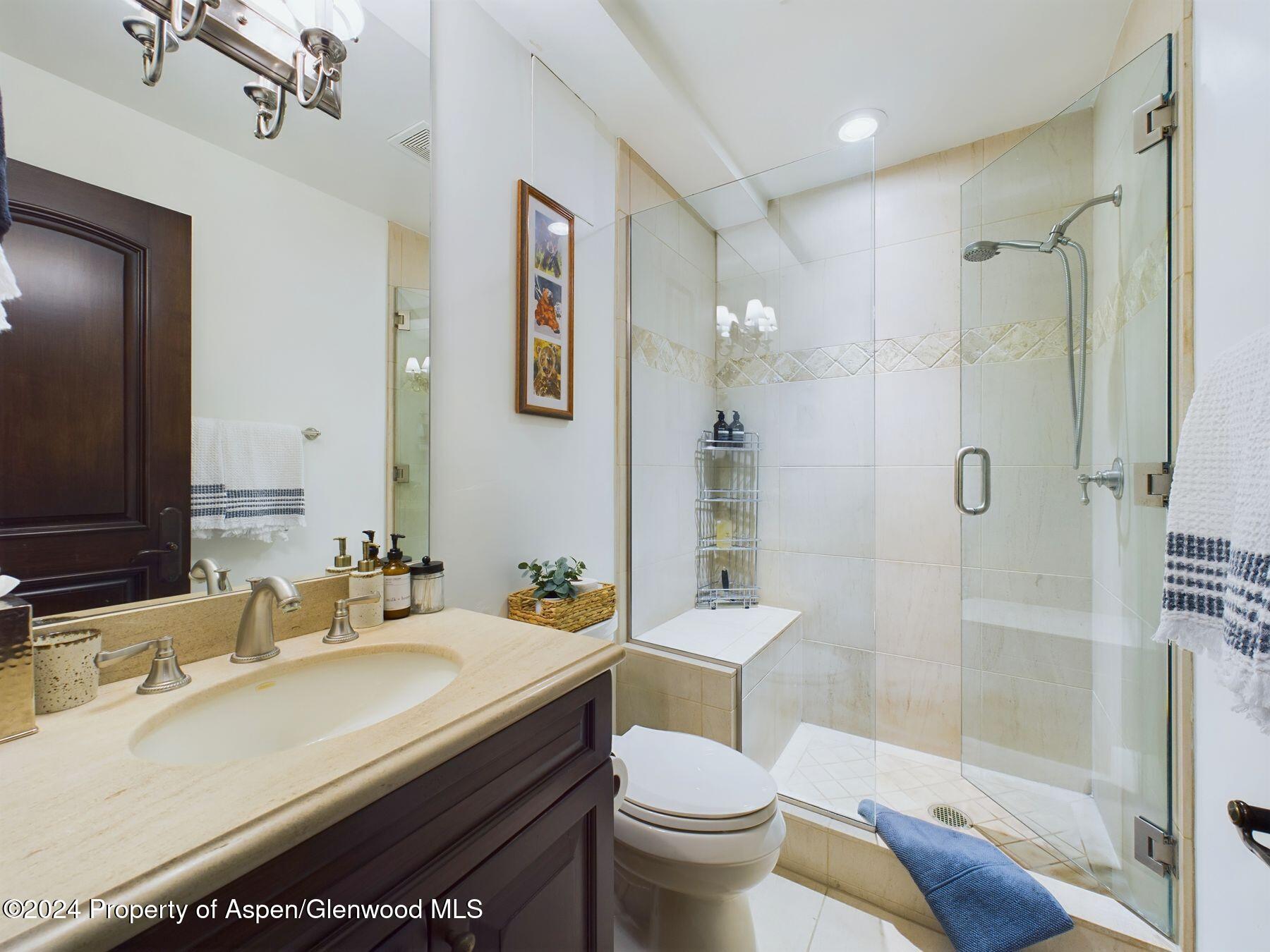 910 E Cooper Avenue Aspen CO 81611