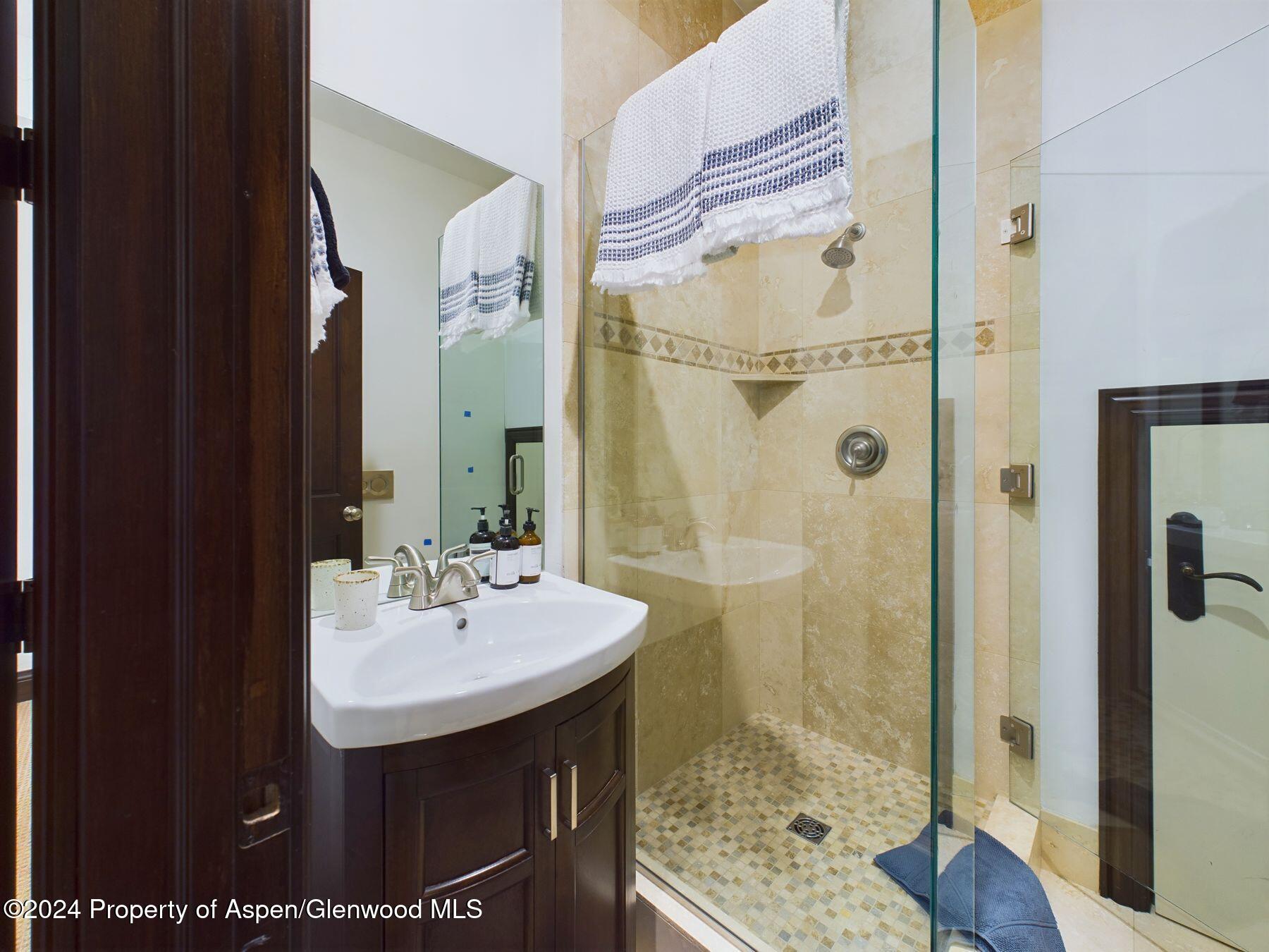 910 E Cooper Avenue Aspen CO 81611