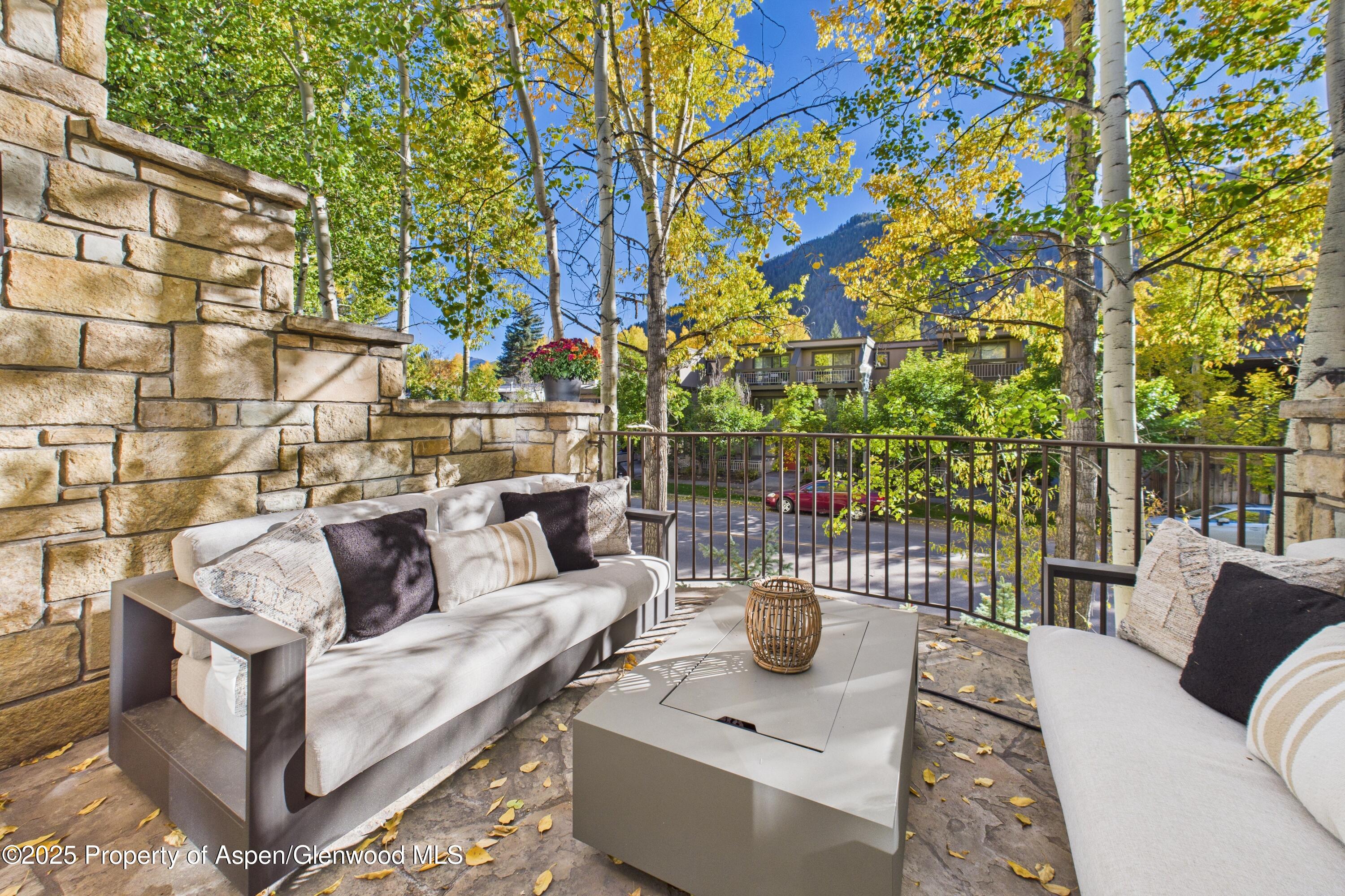 910 E Cooper Avenue Aspen CO 81611