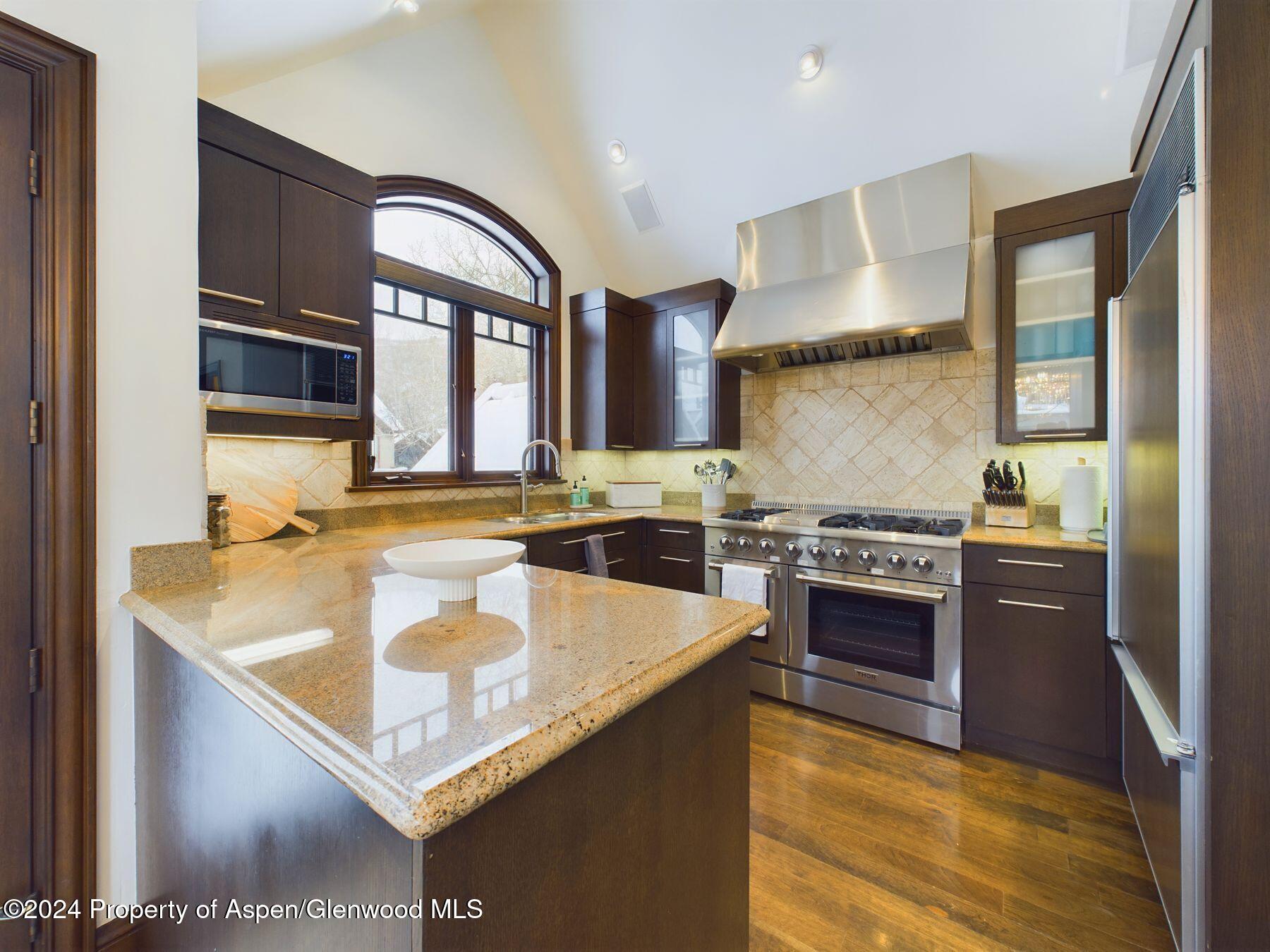 910 E Cooper Avenue Aspen CO 81611