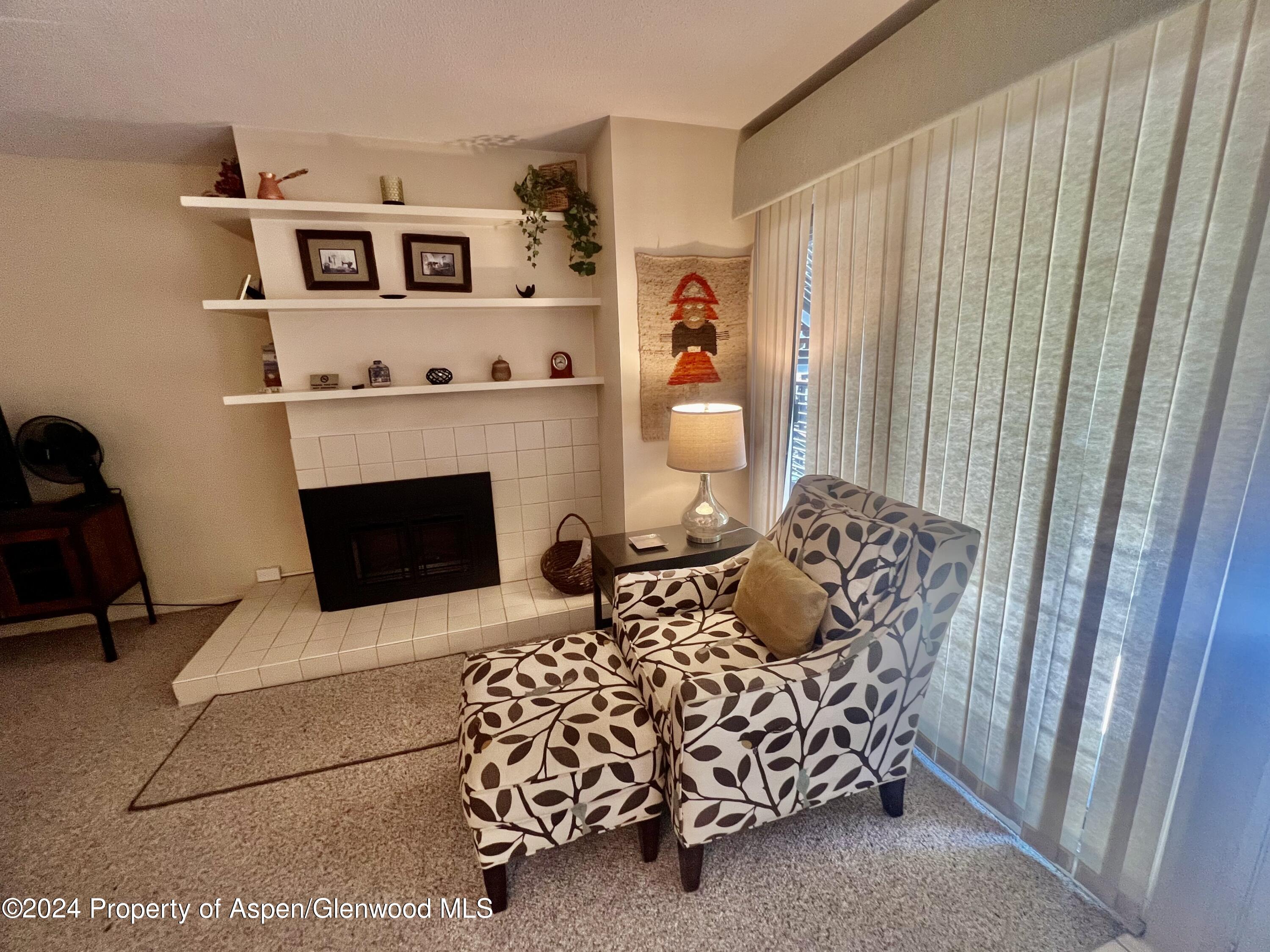 210 E Cooper Avenue Aspen CO 81611