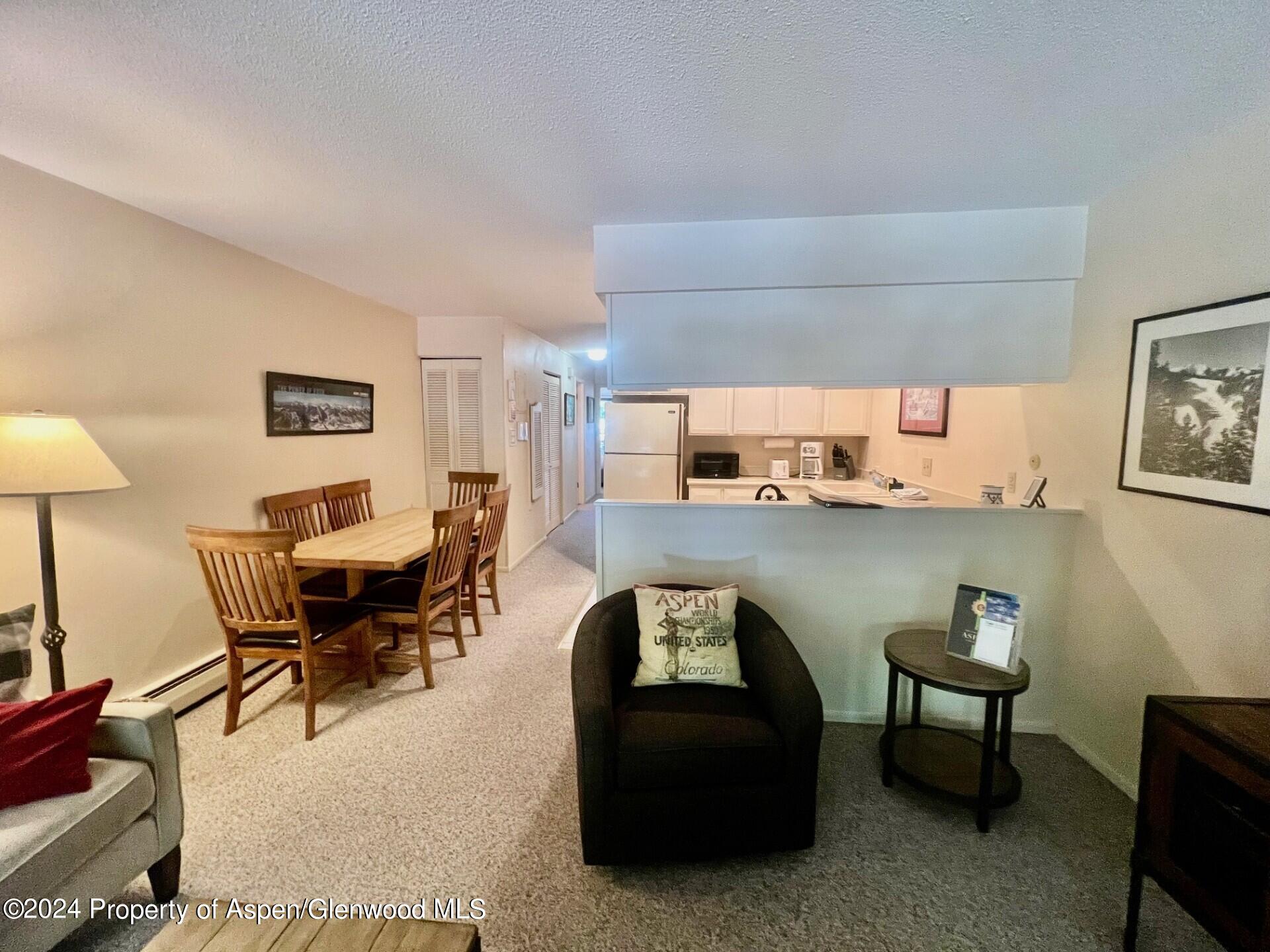 210 E Cooper Avenue Aspen CO 81611