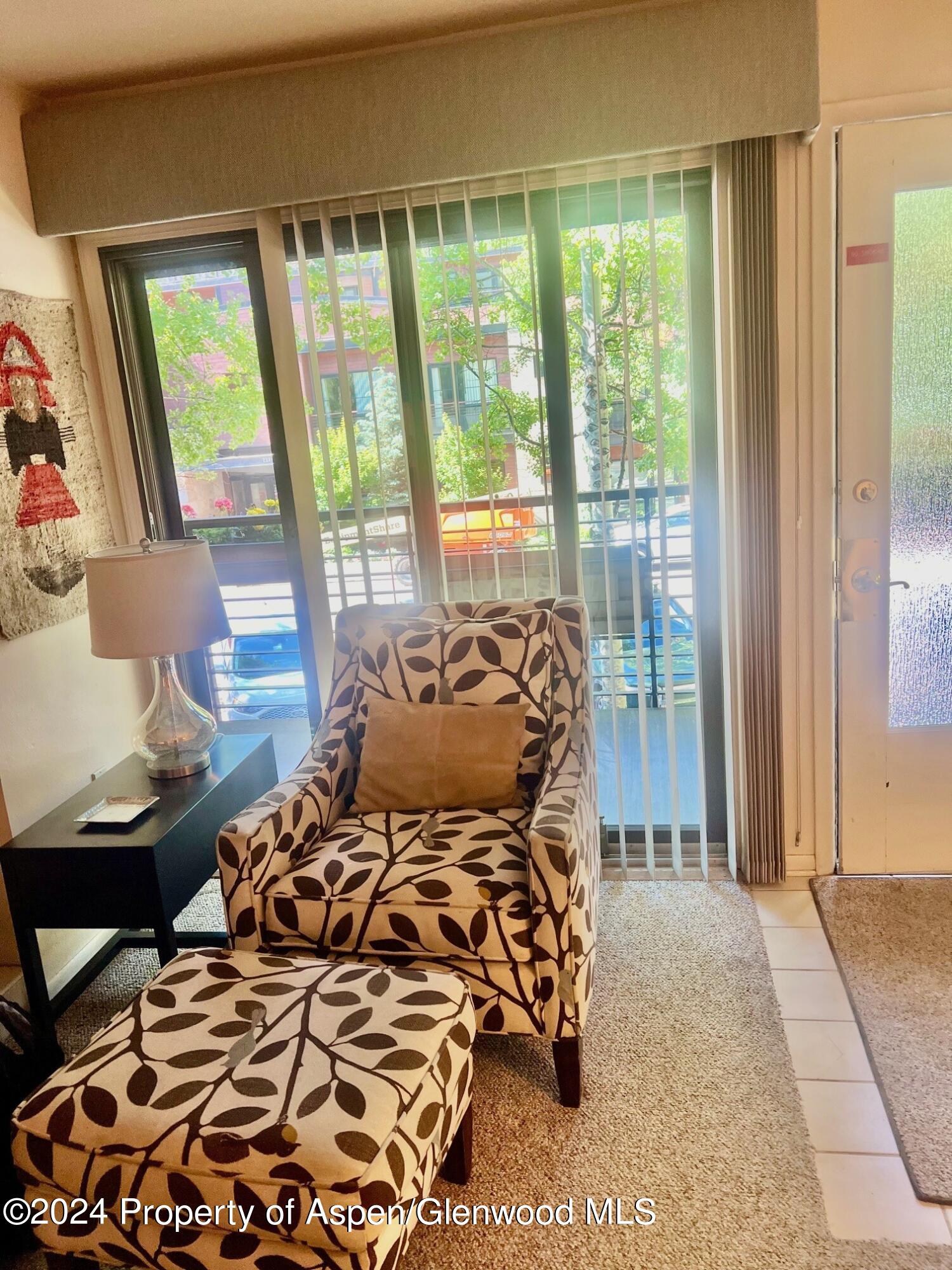 210 E Cooper Avenue Aspen CO 81611