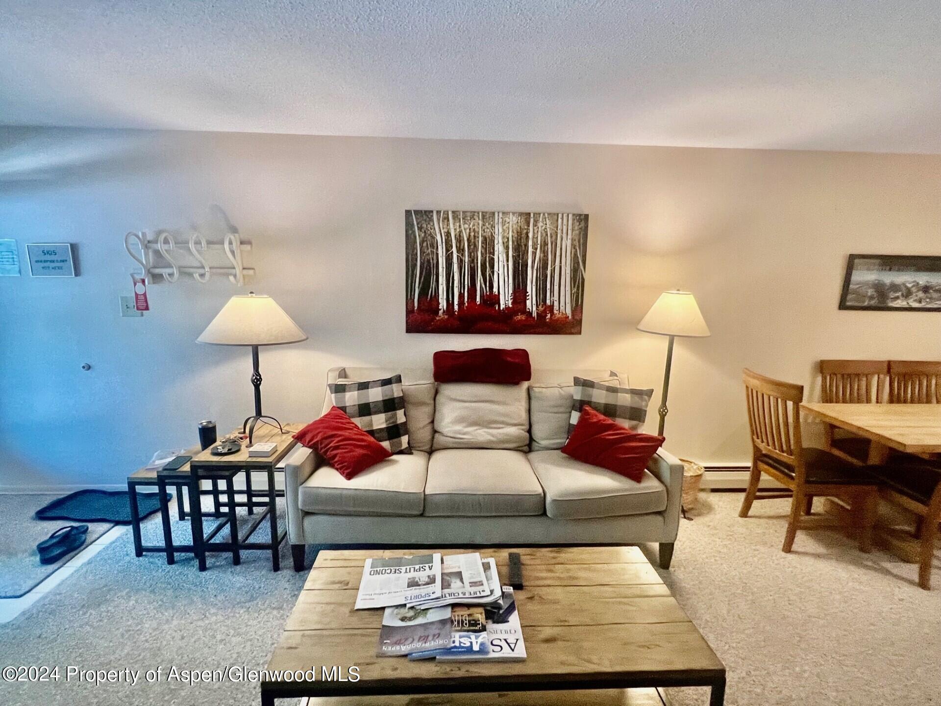 210 E Cooper Avenue Aspen CO 81611