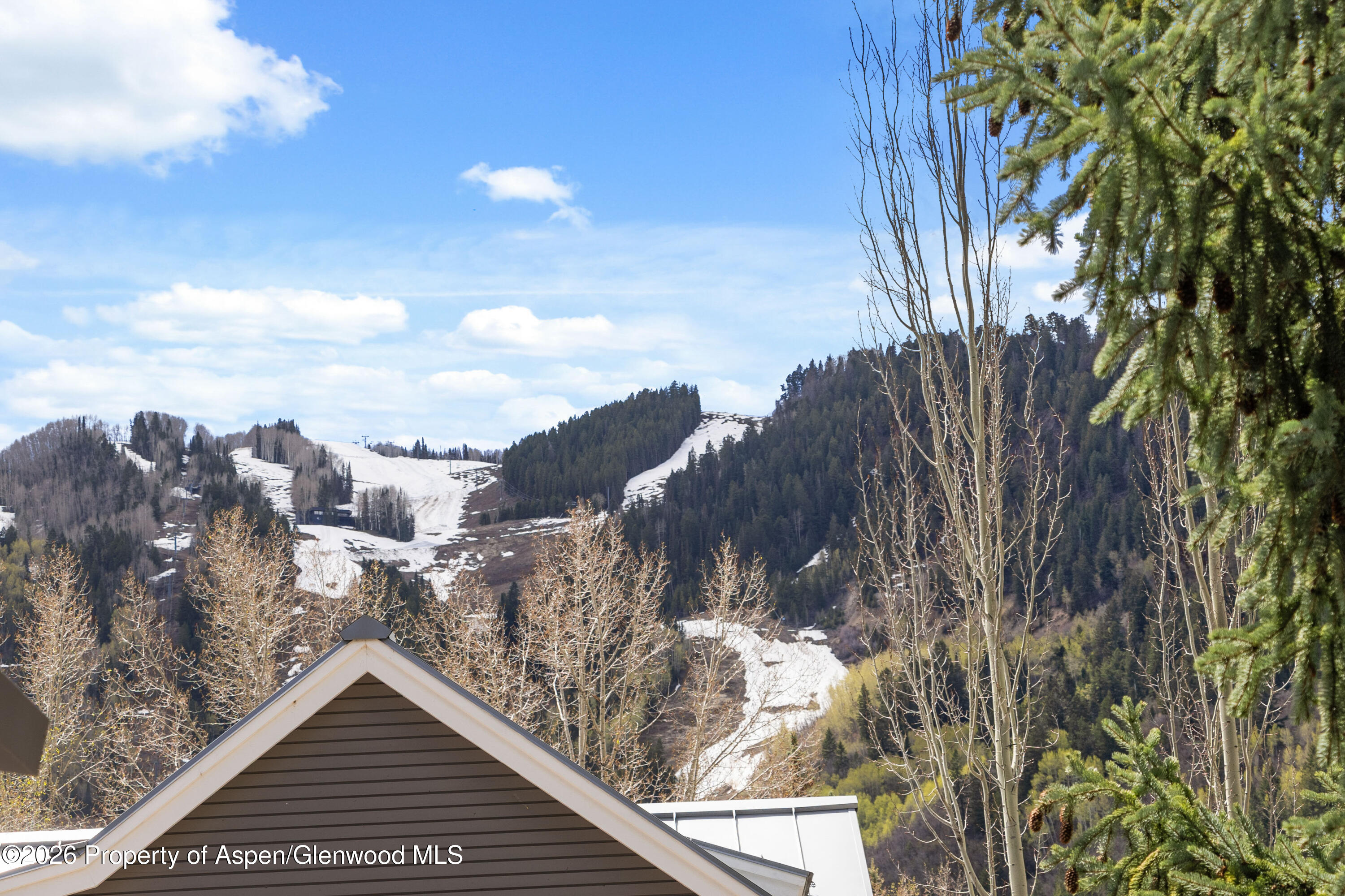 101 E Hallam Street Aspen CO 81611