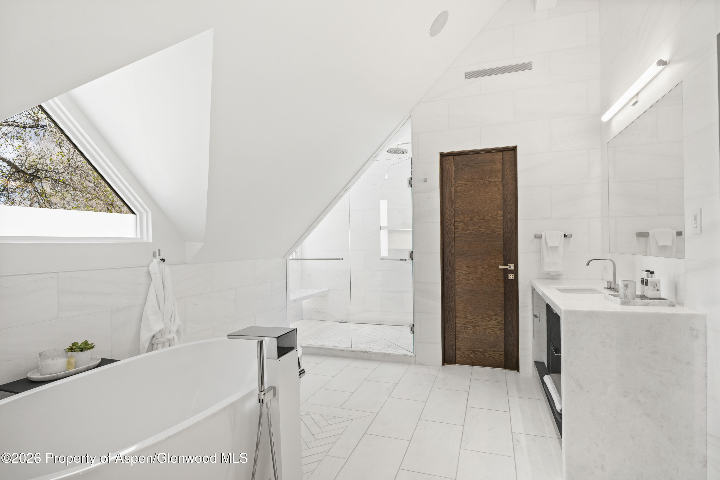 101 E Hallam Street Aspen CO 81611