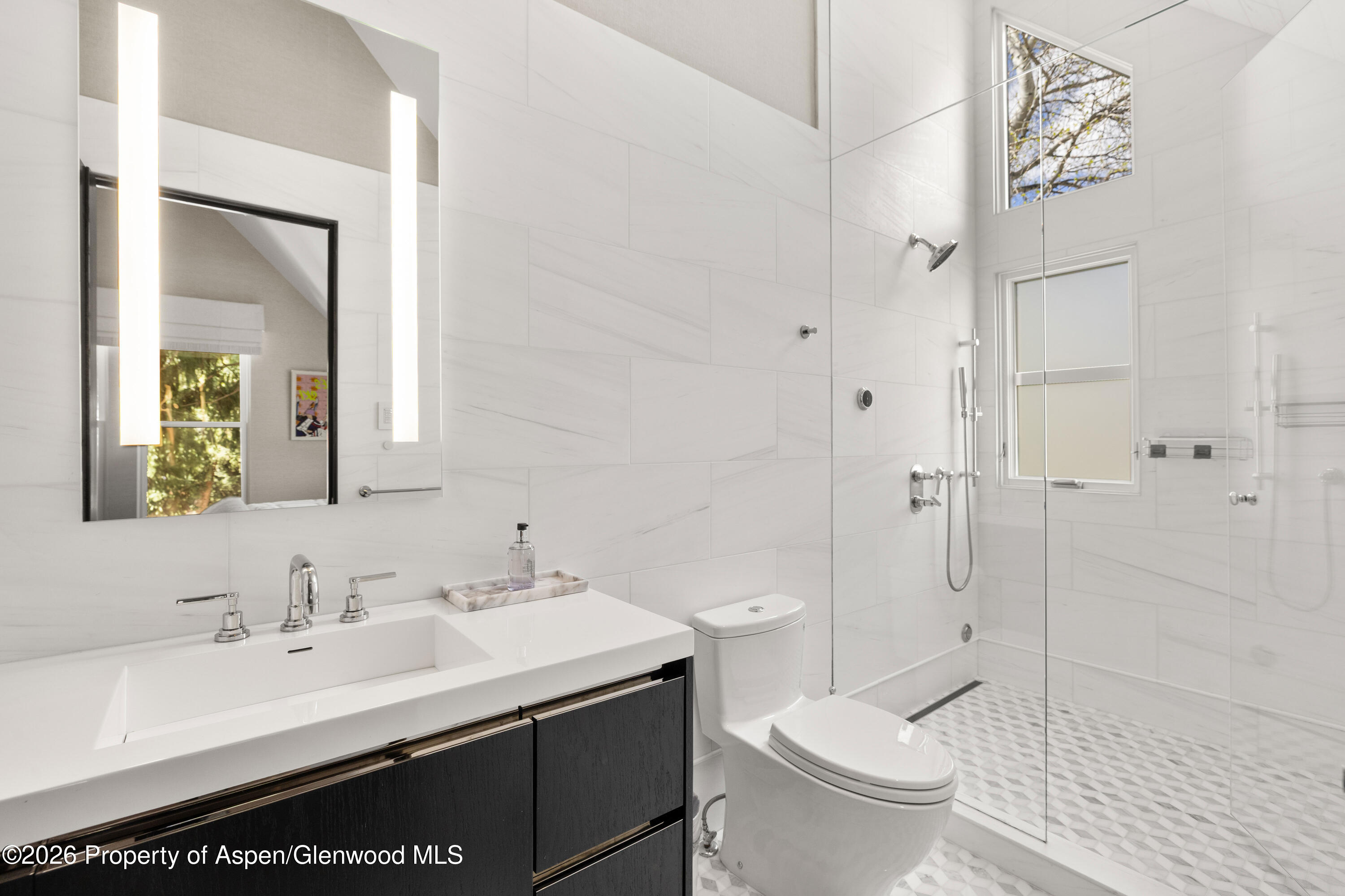 101 E Hallam Street Aspen CO 81611