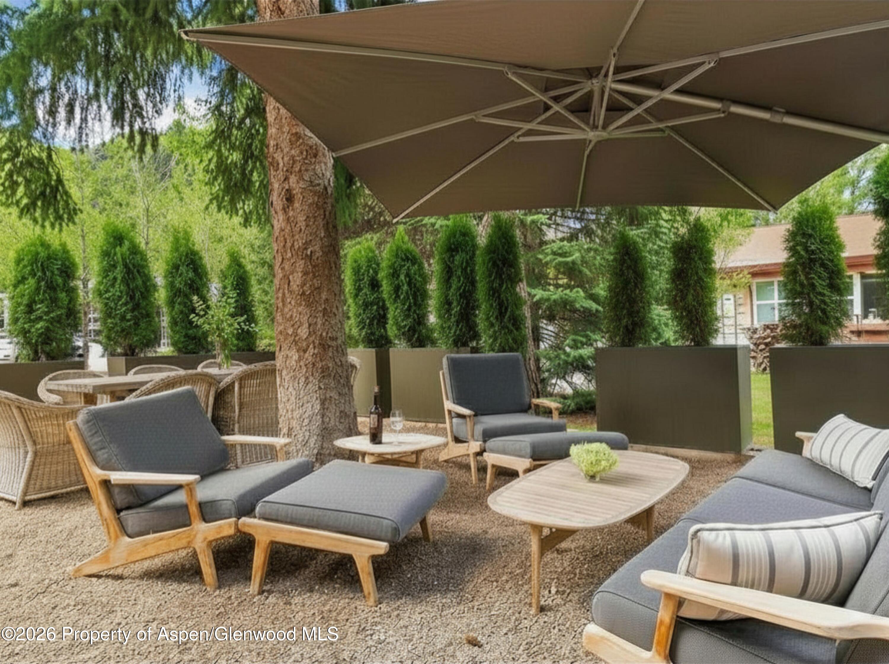 101 E Hallam Street Aspen CO 81611