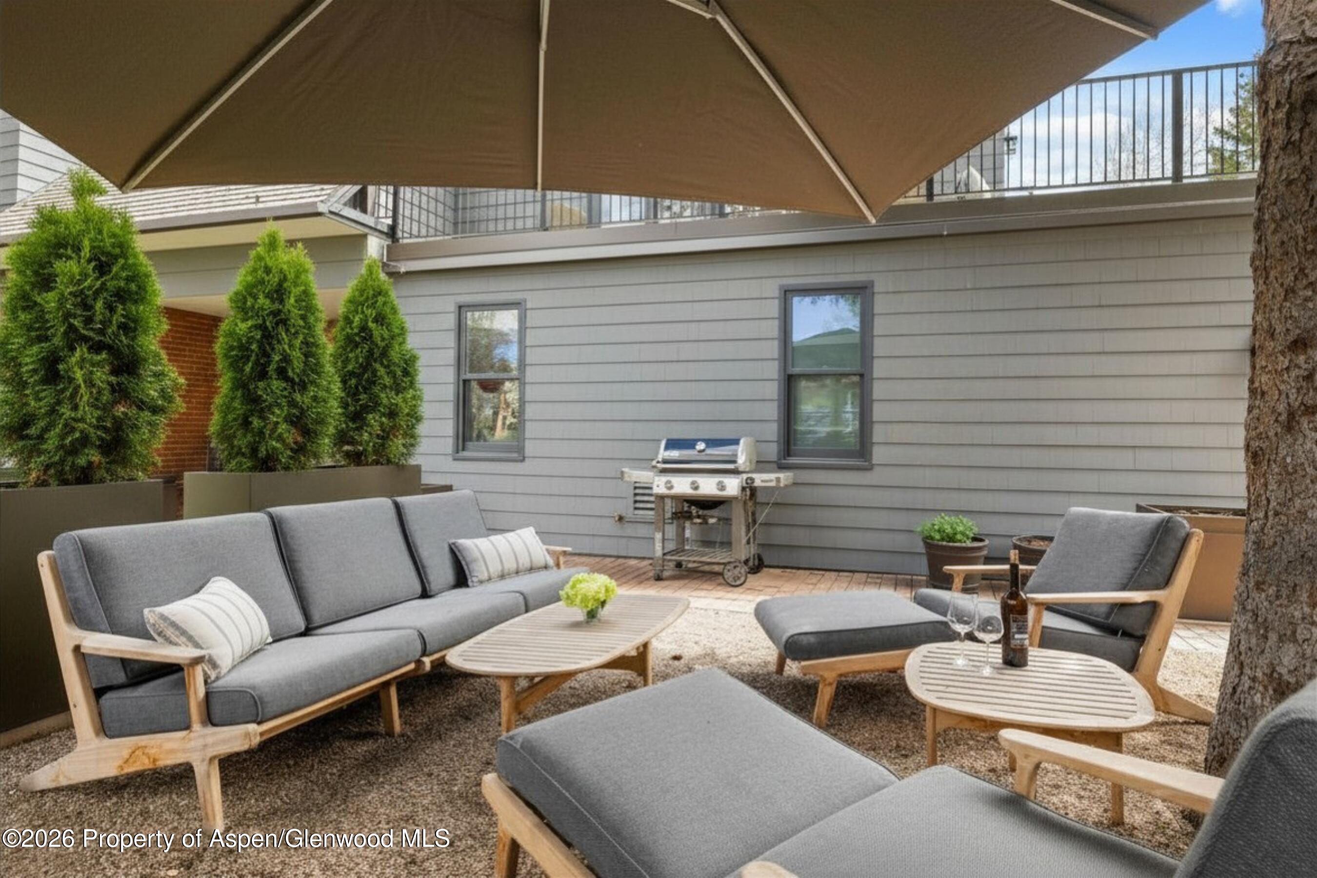 101 E Hallam Street Aspen CO 81611