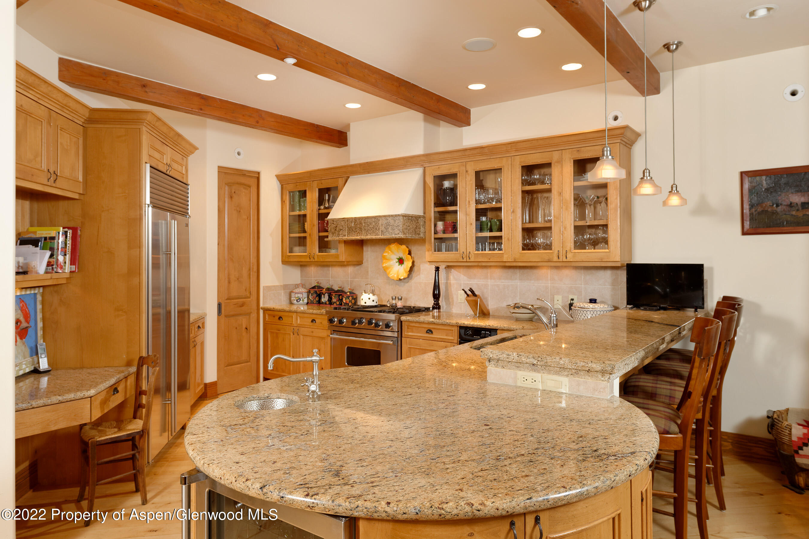 1035 E Durant Avenue Aspen CO 81611