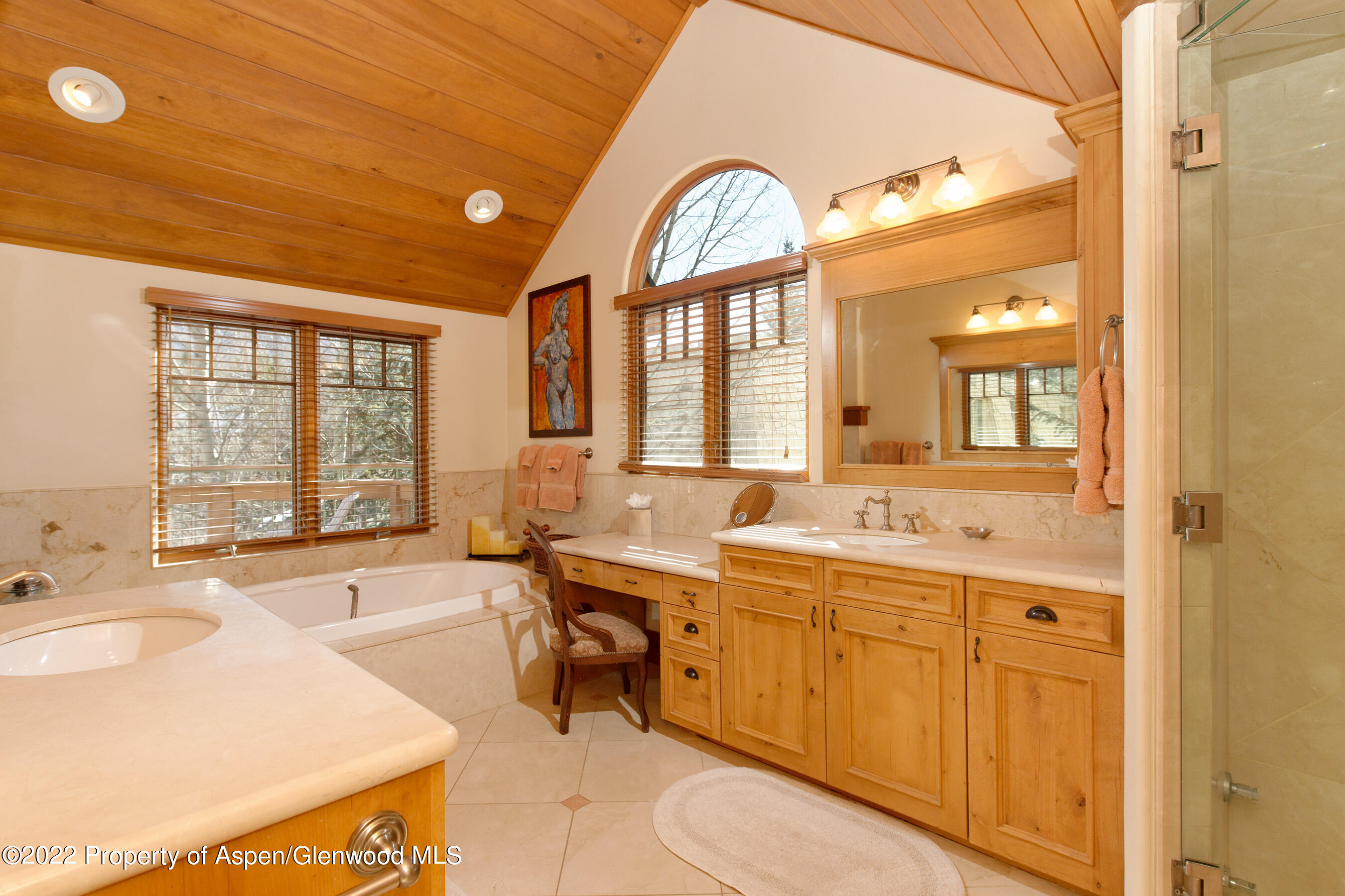 1035 E Durant Avenue Aspen CO 81611