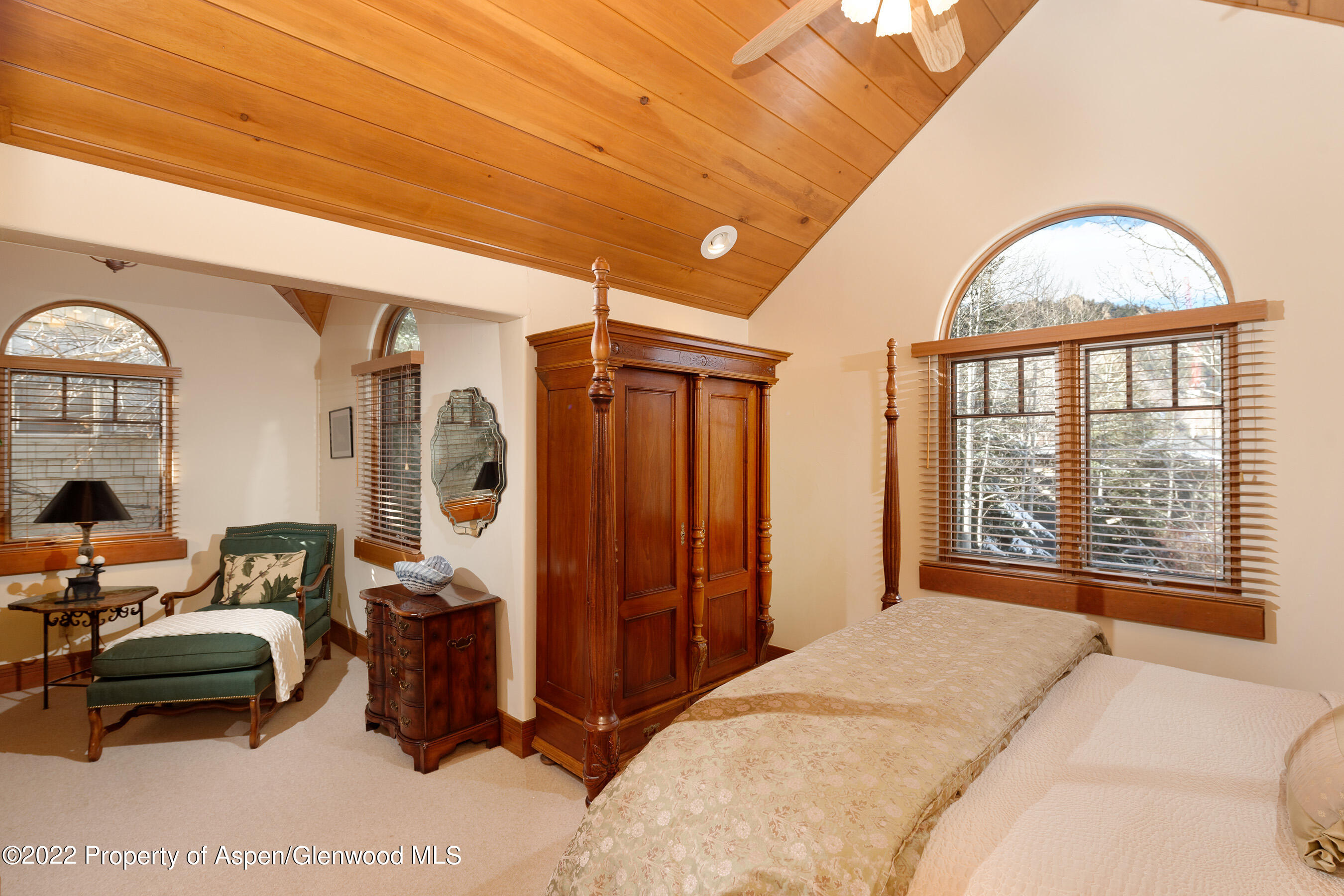 1035 E Durant Avenue Aspen CO 81611