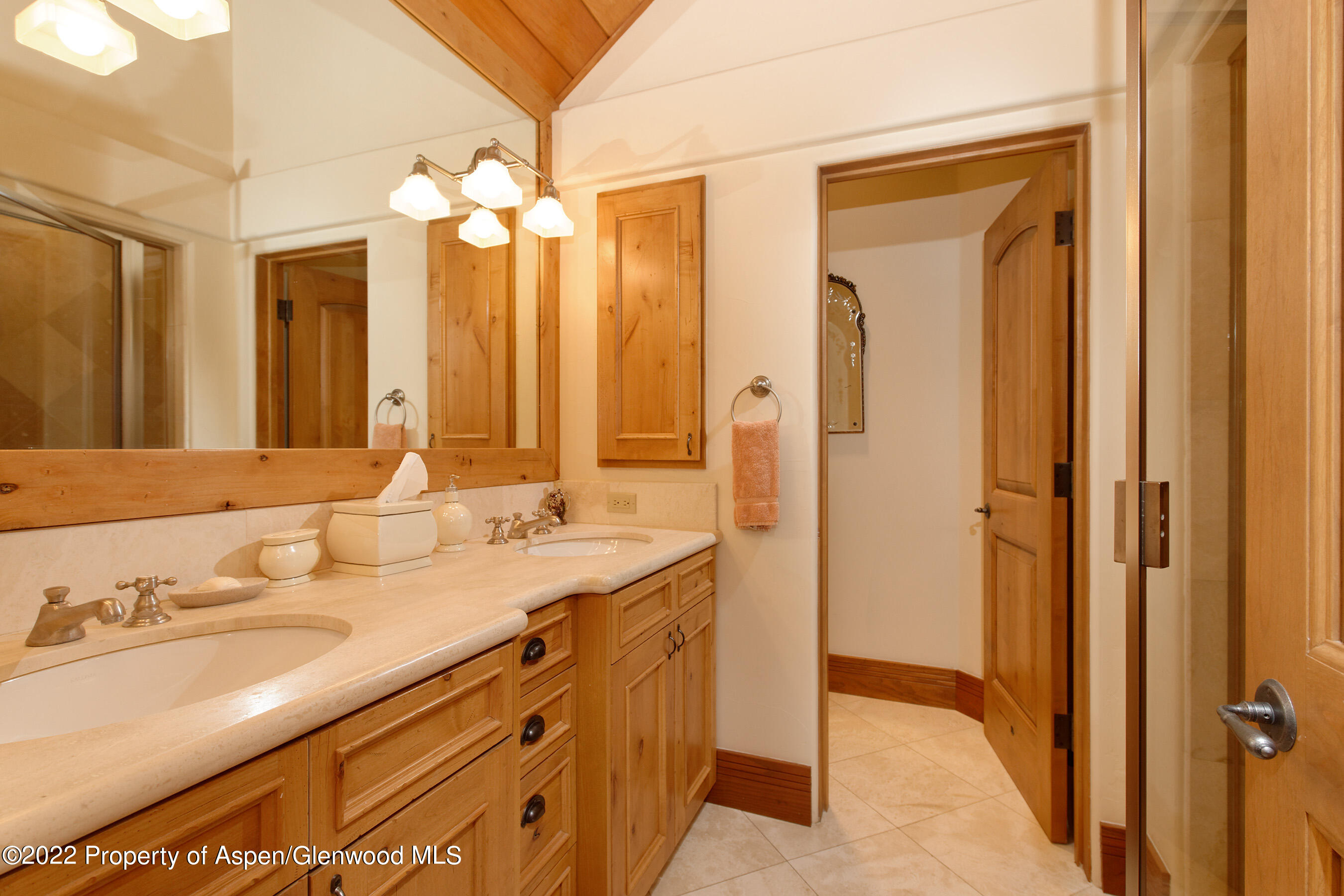 1035 E Durant Avenue Aspen CO 81611