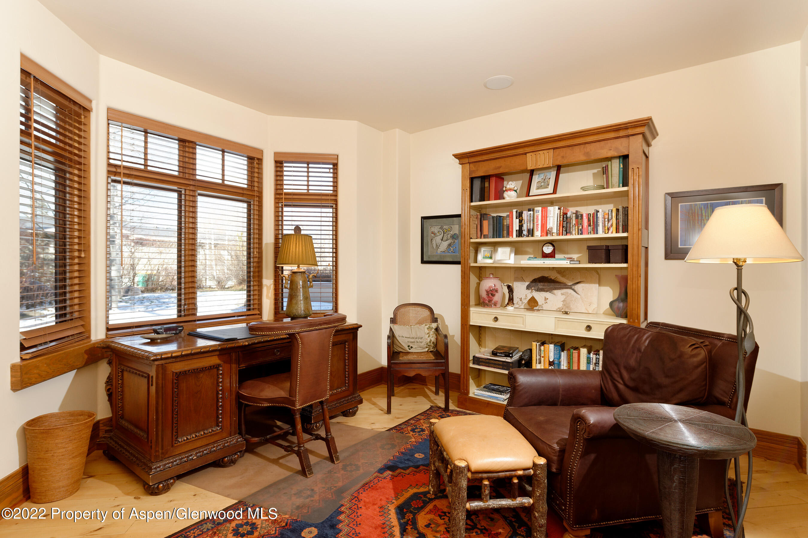 1035 E Durant Avenue Aspen CO 81611