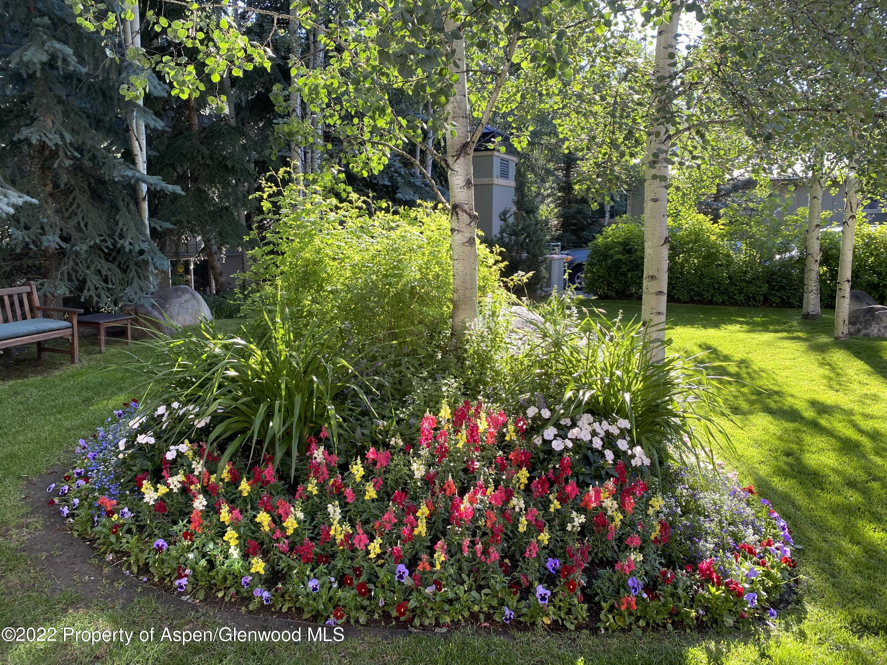 1035 E Durant Avenue Aspen CO 81611