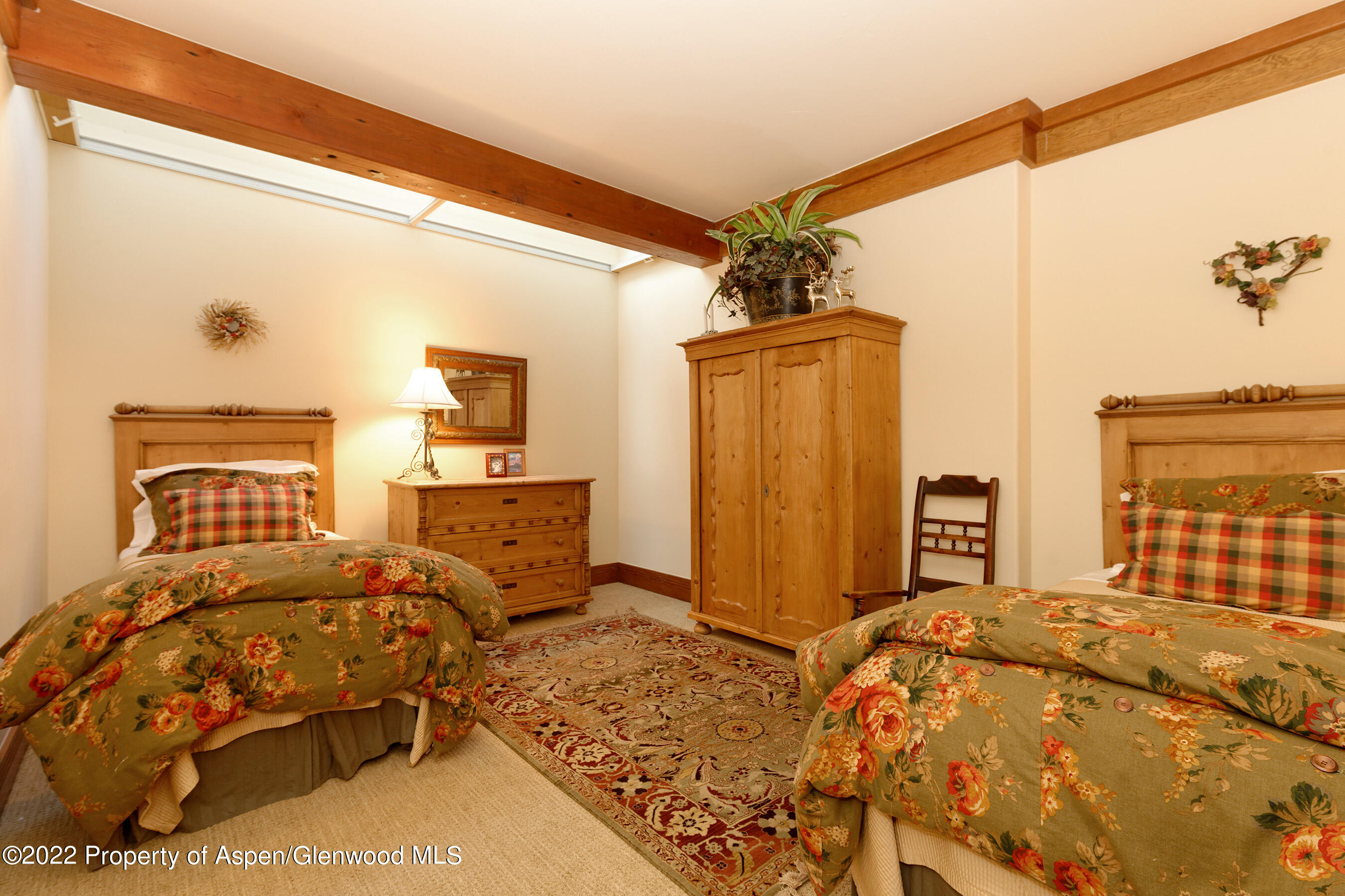 1035 E Durant Avenue Aspen CO 81611