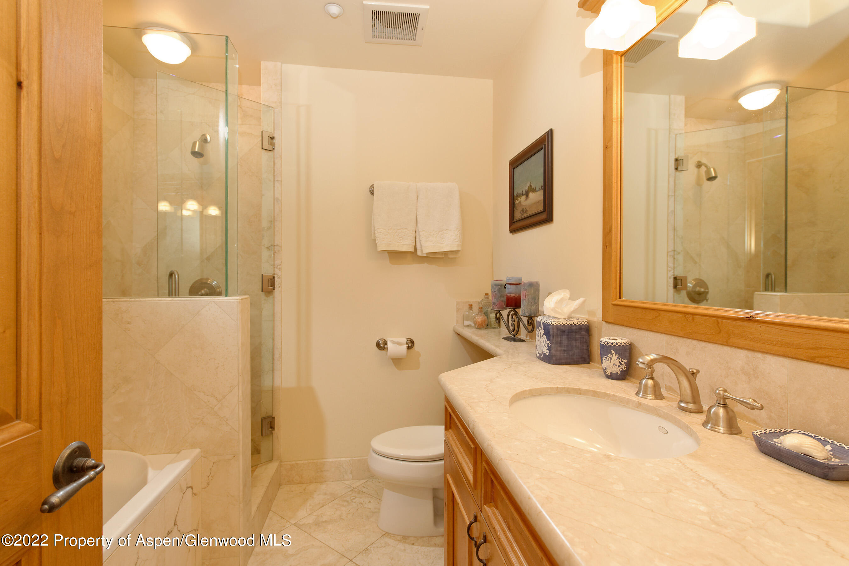 1035 E Durant Avenue Aspen CO 81611