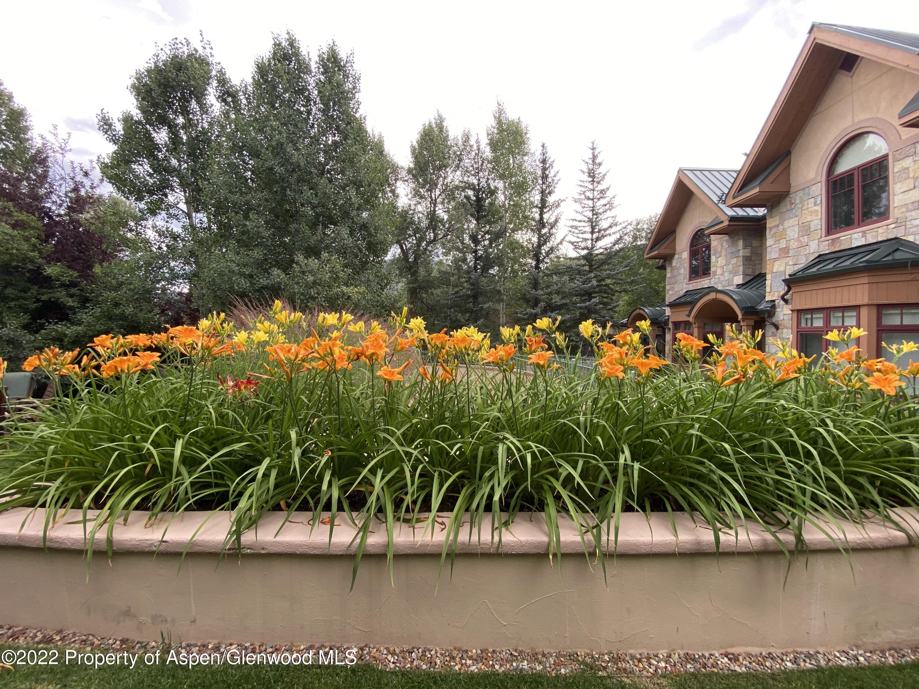 1035 E Durant Avenue Aspen CO 81611