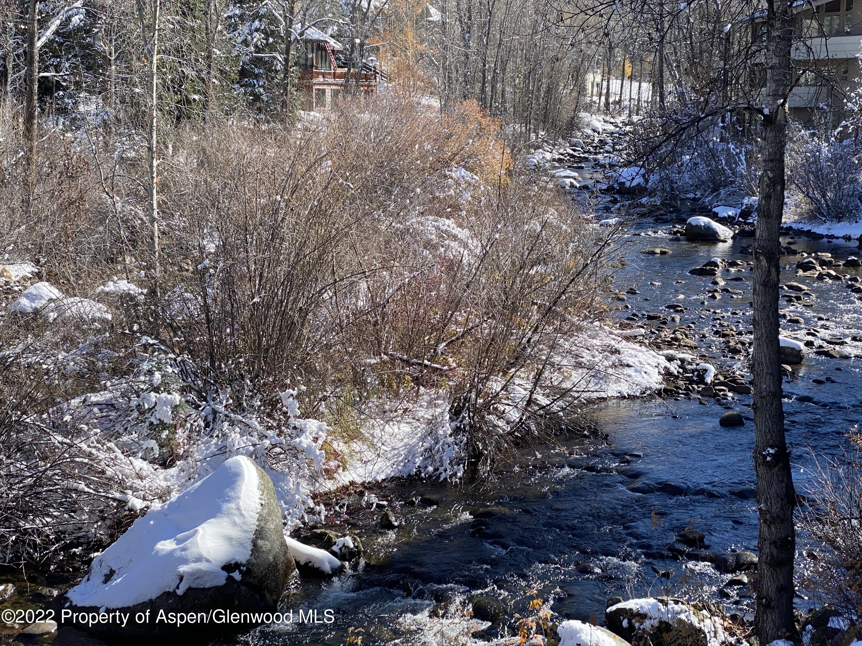 1035 E Durant Avenue Aspen CO 81611