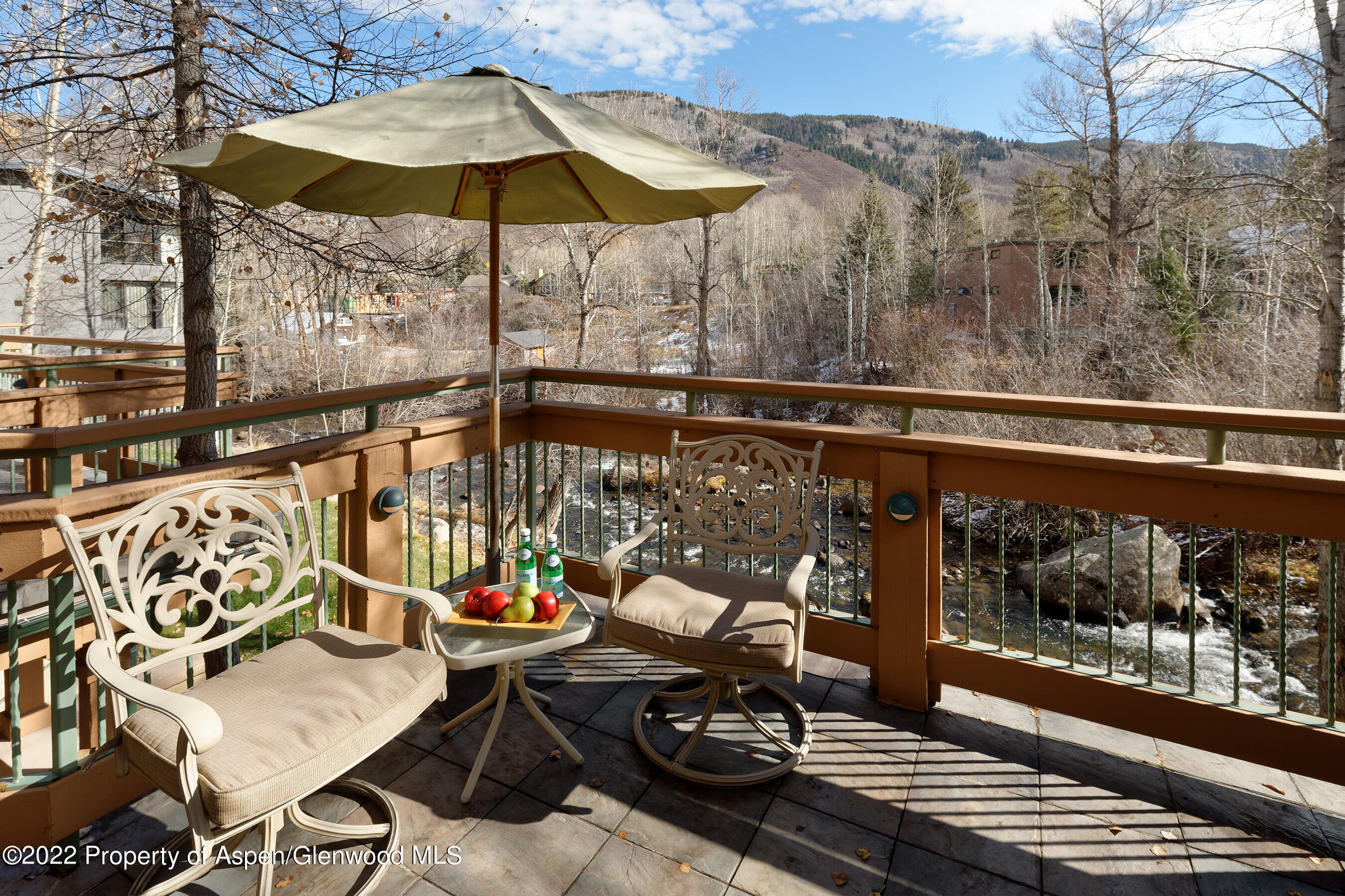 1035 E Durant Avenue Aspen CO 81611