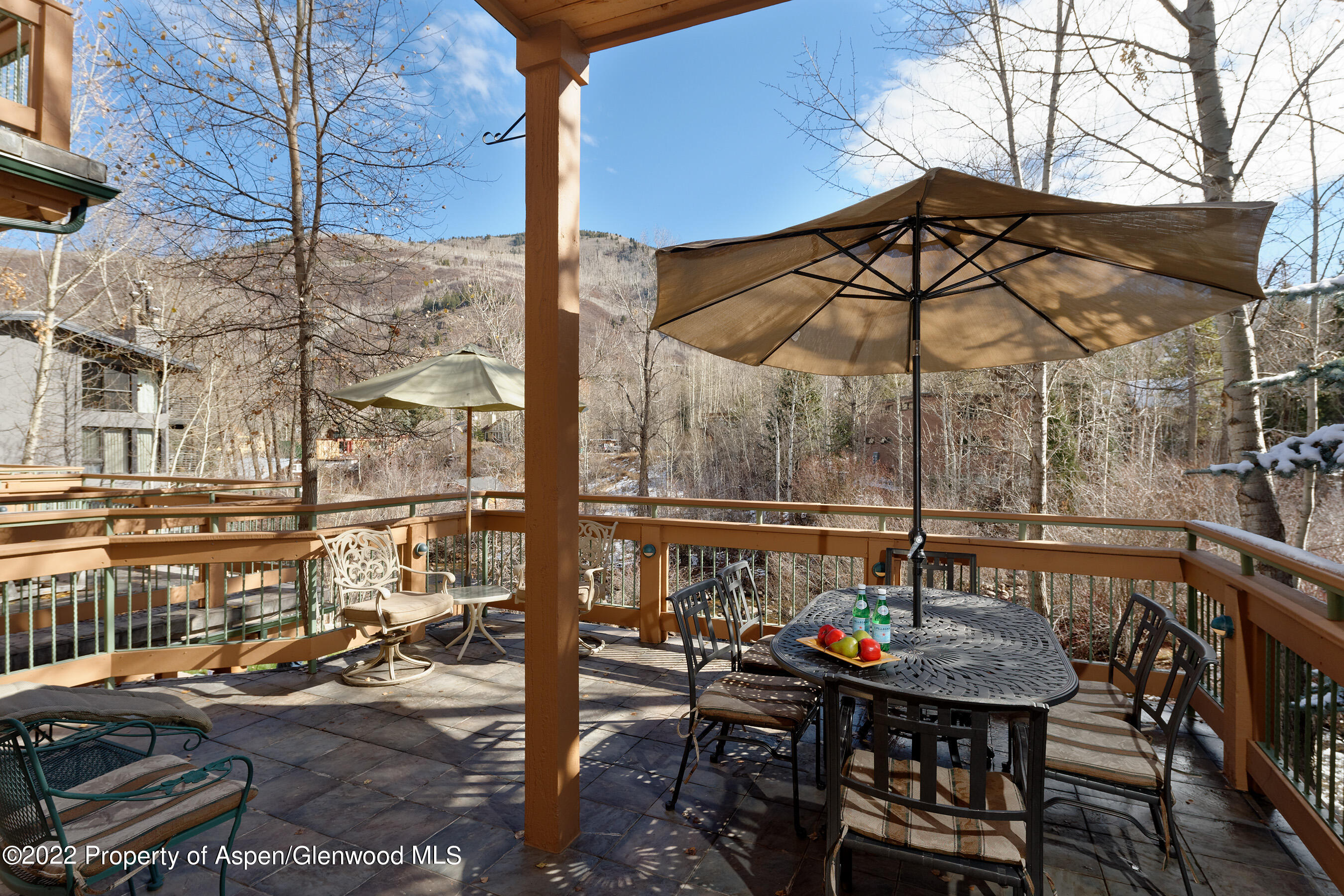 1035 E Durant Avenue Aspen CO 81611