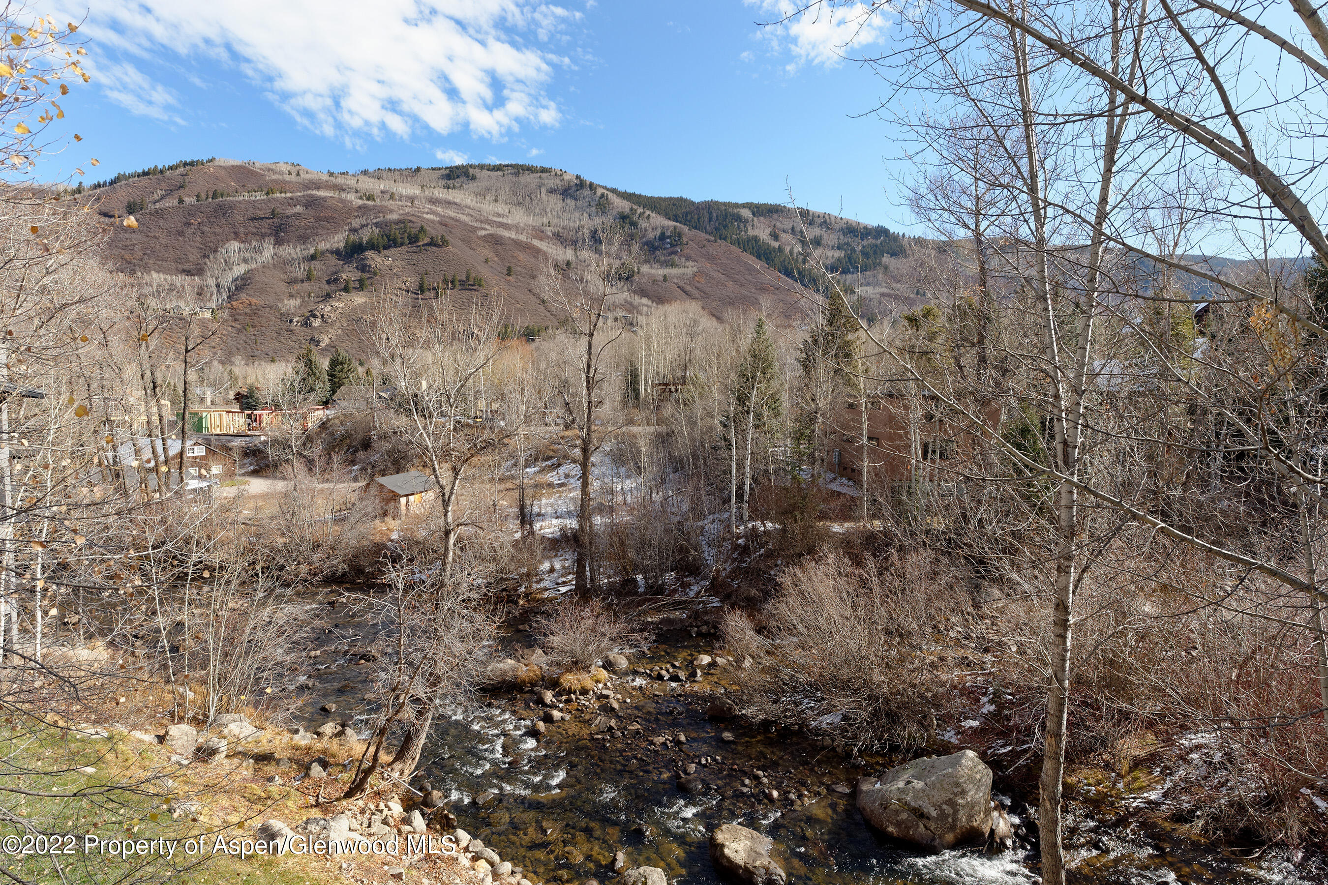 1035 E Durant Avenue Aspen CO 81611