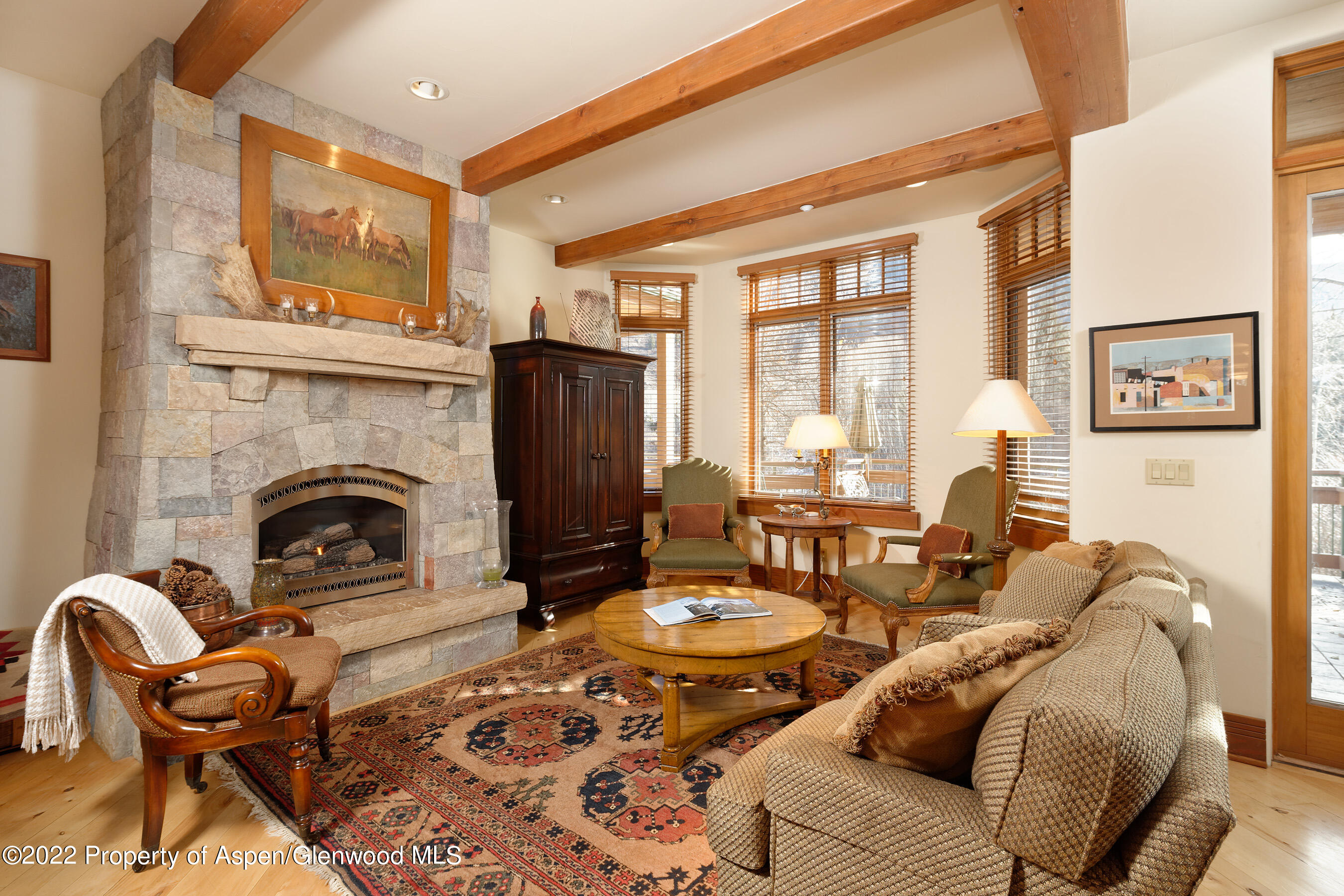 1035 E Durant Avenue Aspen CO 81611