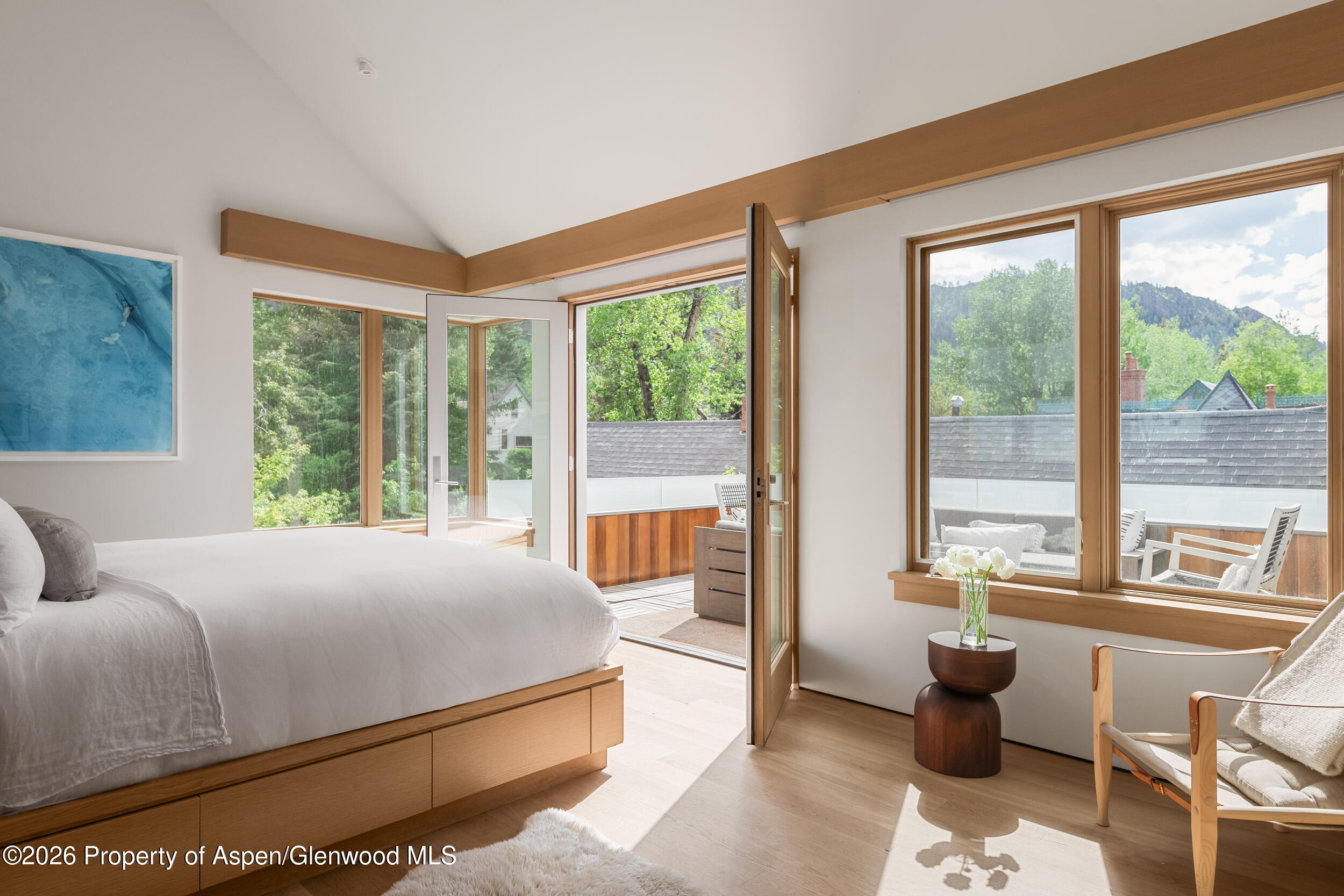 1006 E Cooper Avenue Aspen CO 81611