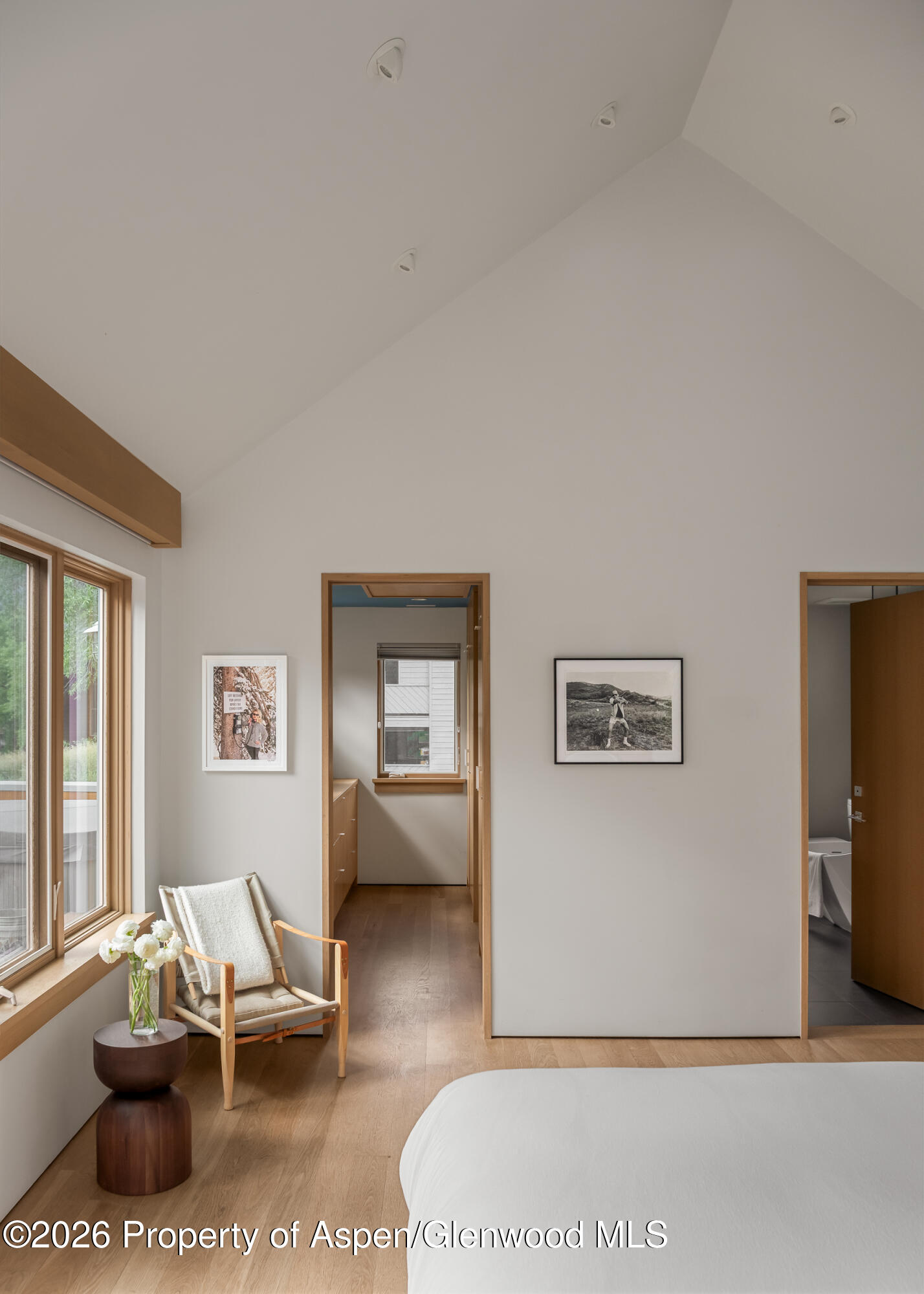 1006 E Cooper Avenue Aspen CO 81611