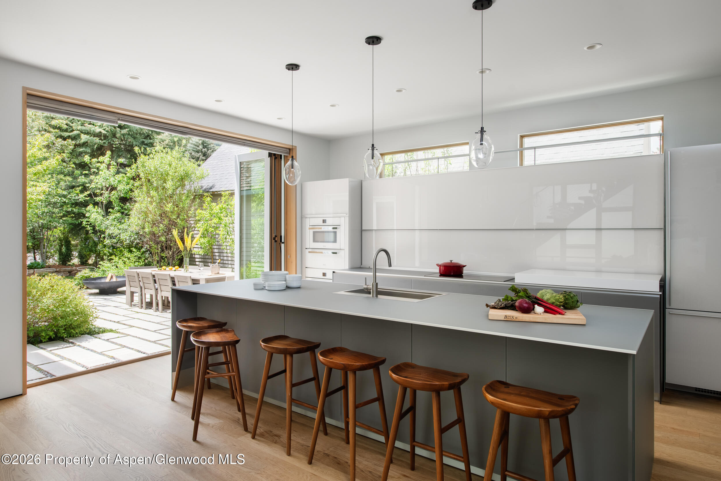 1006 E Cooper Avenue Aspen CO 81611