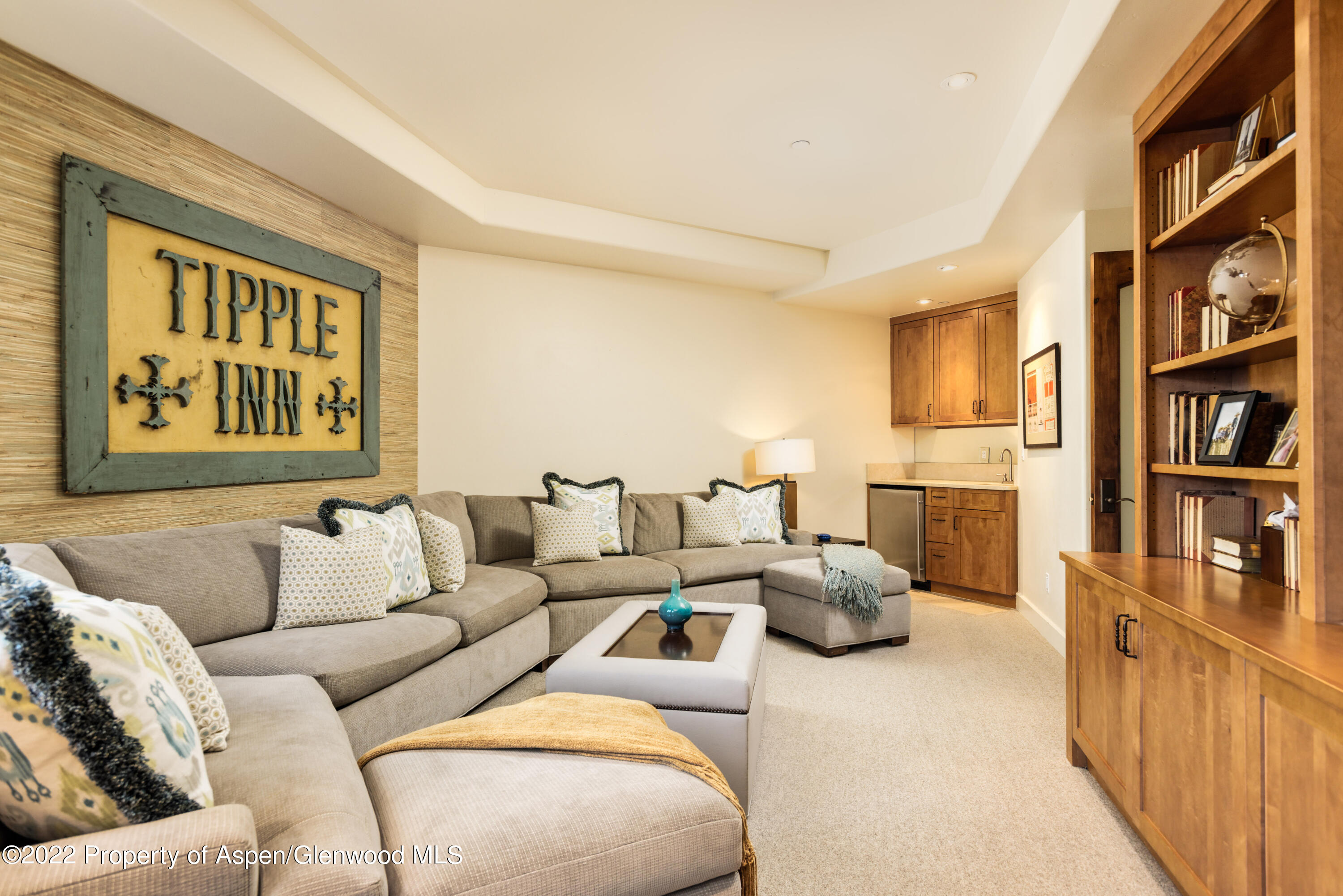 704 S Galena Street Aspen CO 81611