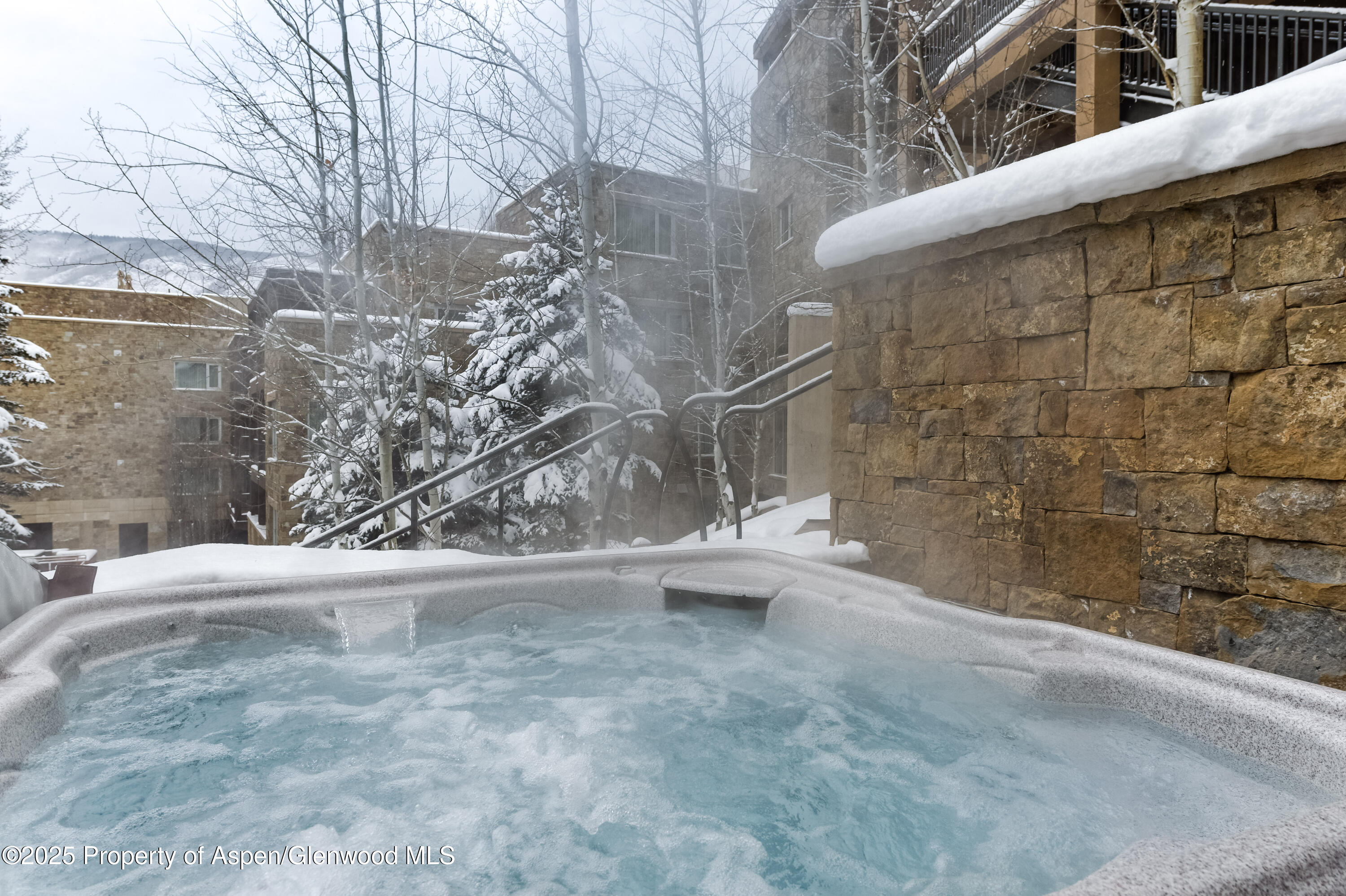 704 S Galena Street Aspen CO 81611