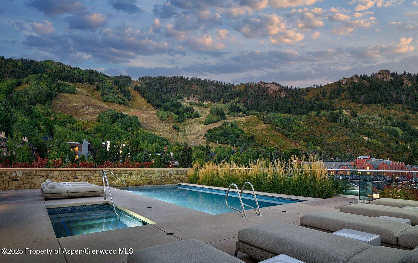 704 S Galena Street Aspen CO 81611