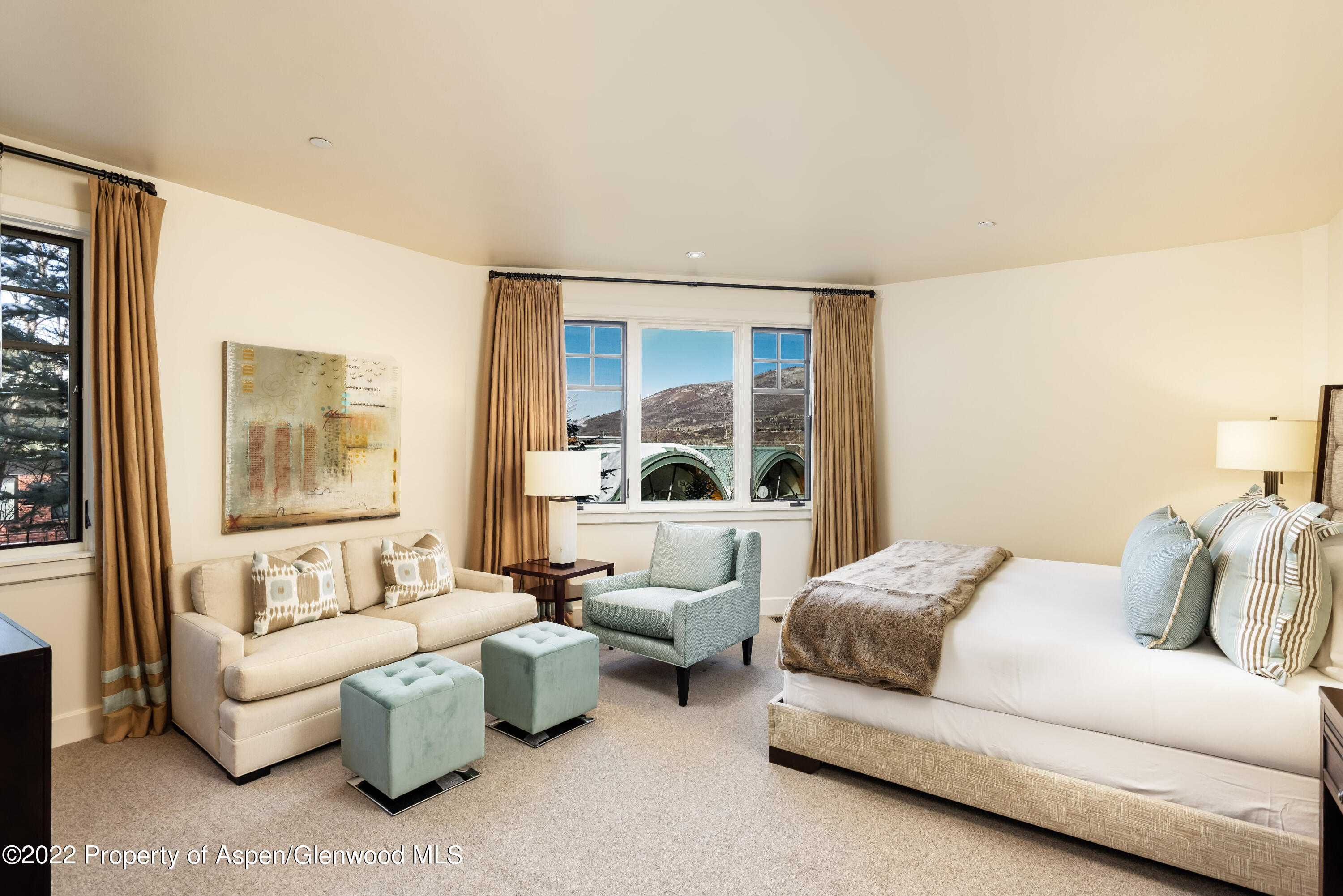 704 S Galena Street Aspen CO 81611